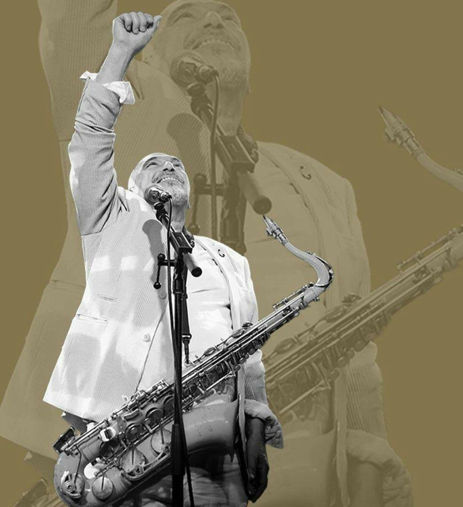 The Black Sorrows – The Quintessential Best of Tour