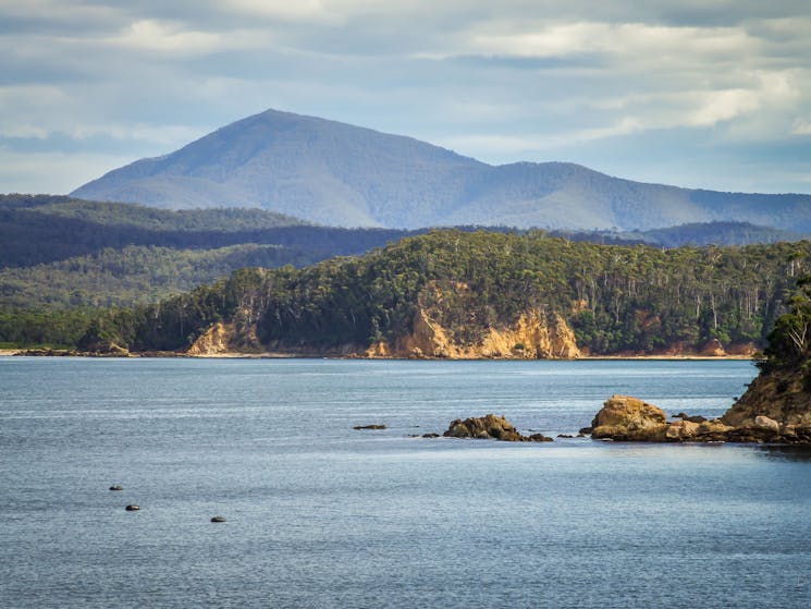 Twofold Bay, Snug Cove, Sapphire Coast