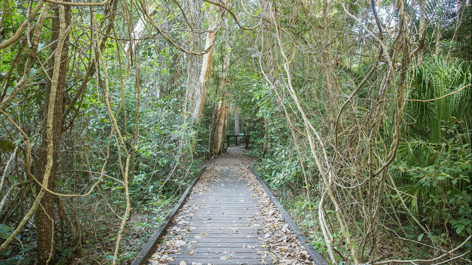 48 hours in Cape Hillsborough and The Hibiscus Coast