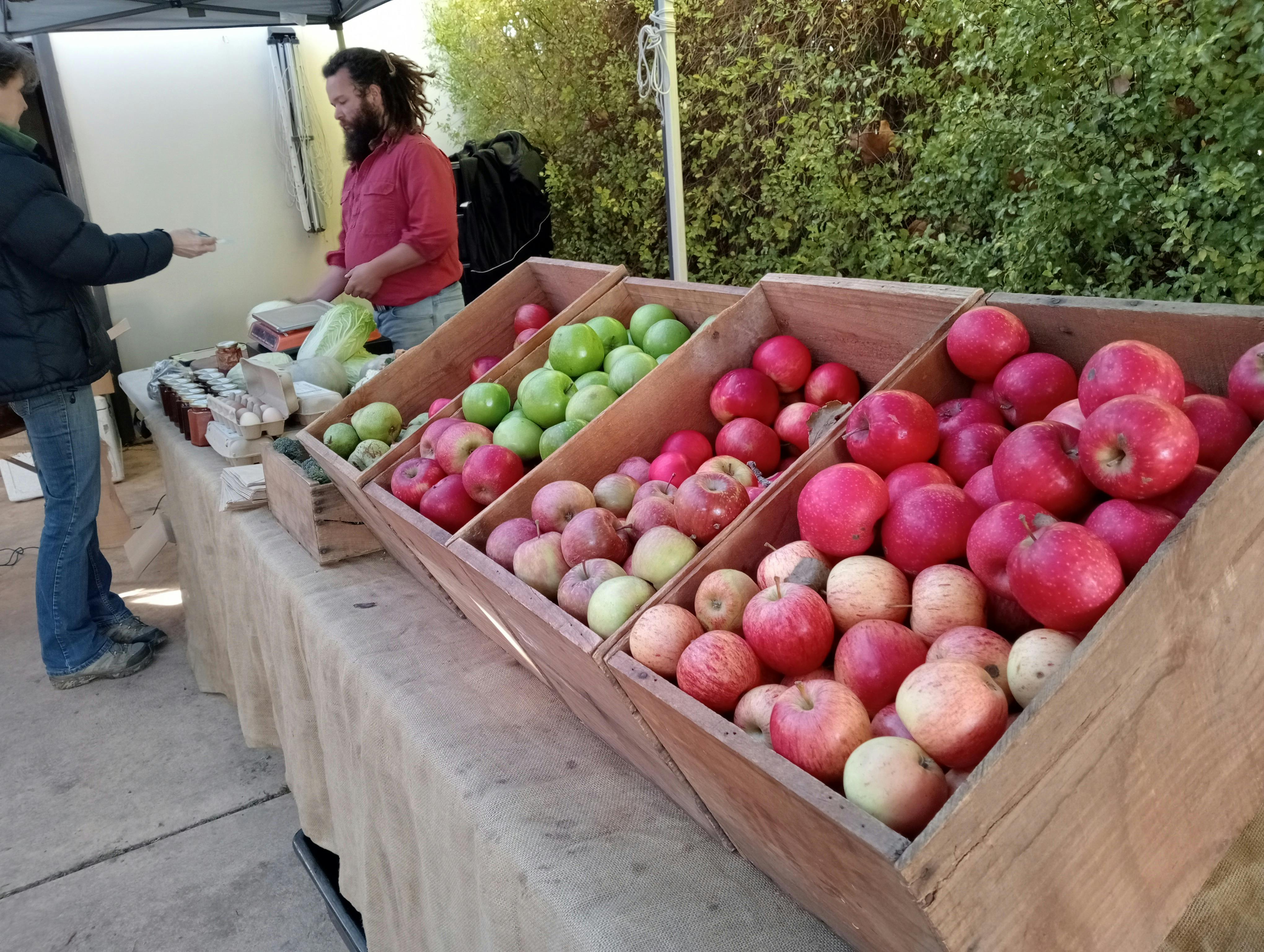 Alex of 'The hairy farmer' selling his new season local apples grown in Nashdale.