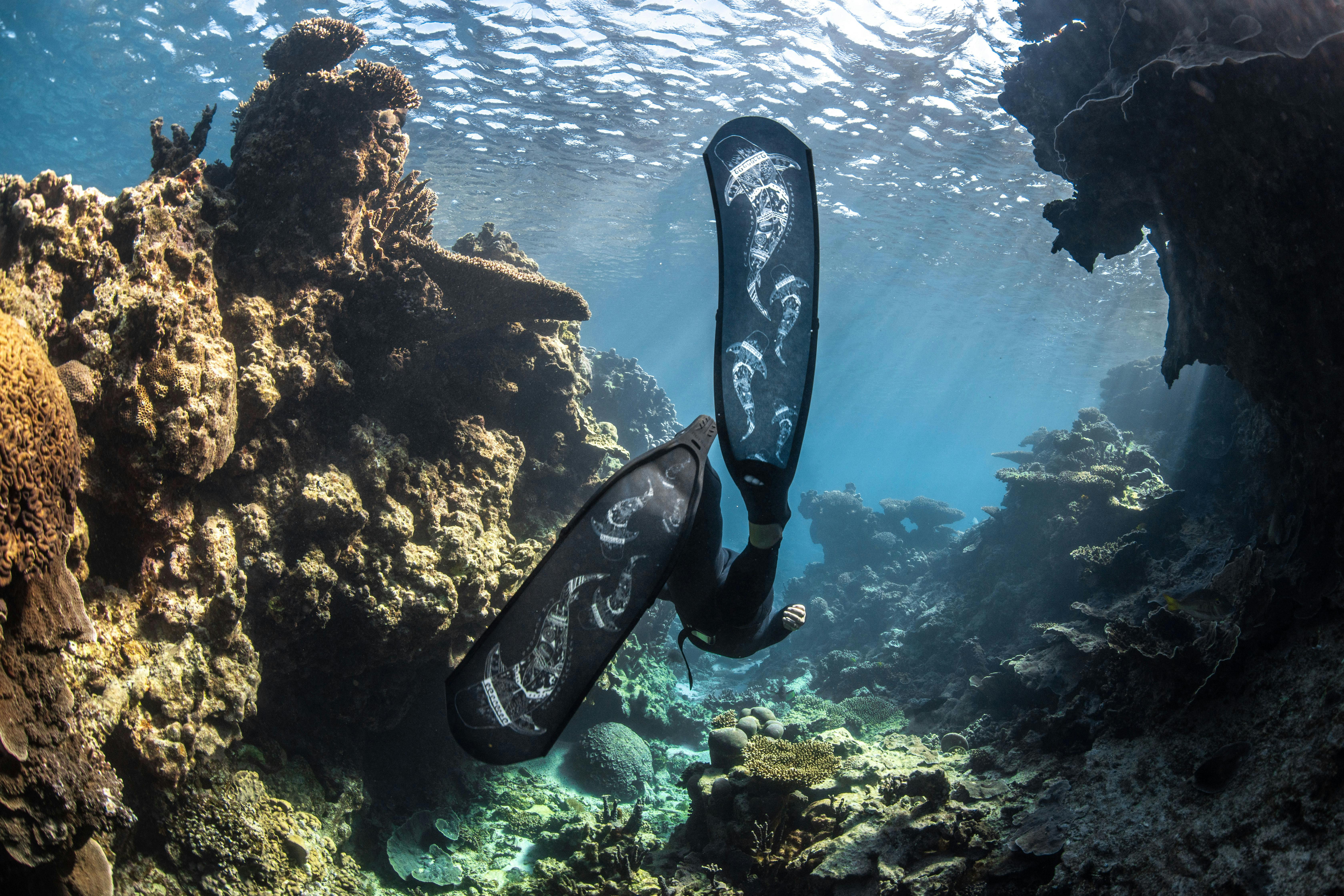 Learn to Freedive