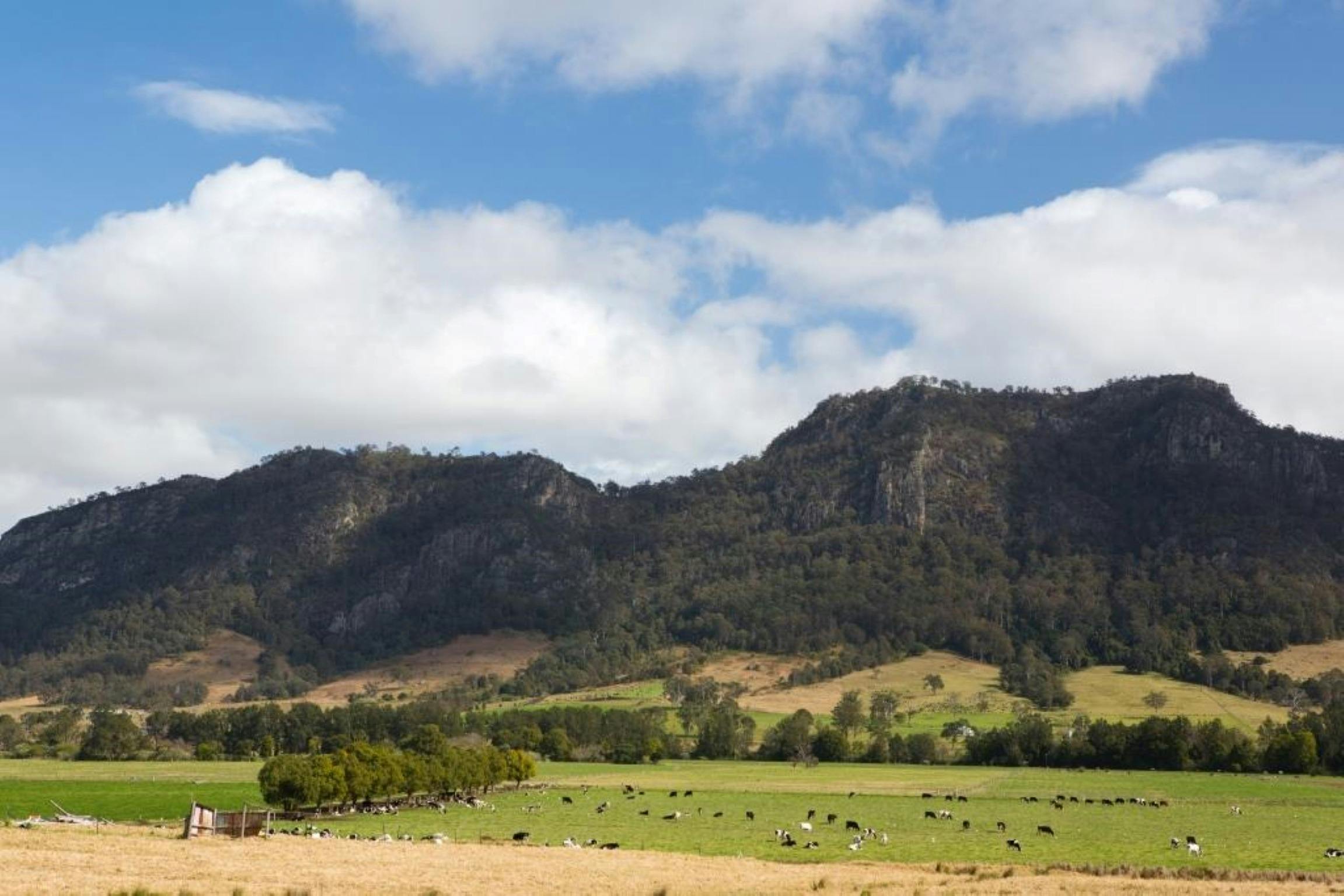 The Bucketts Mounatins