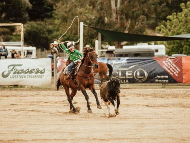 Echuca Pro Rodeo