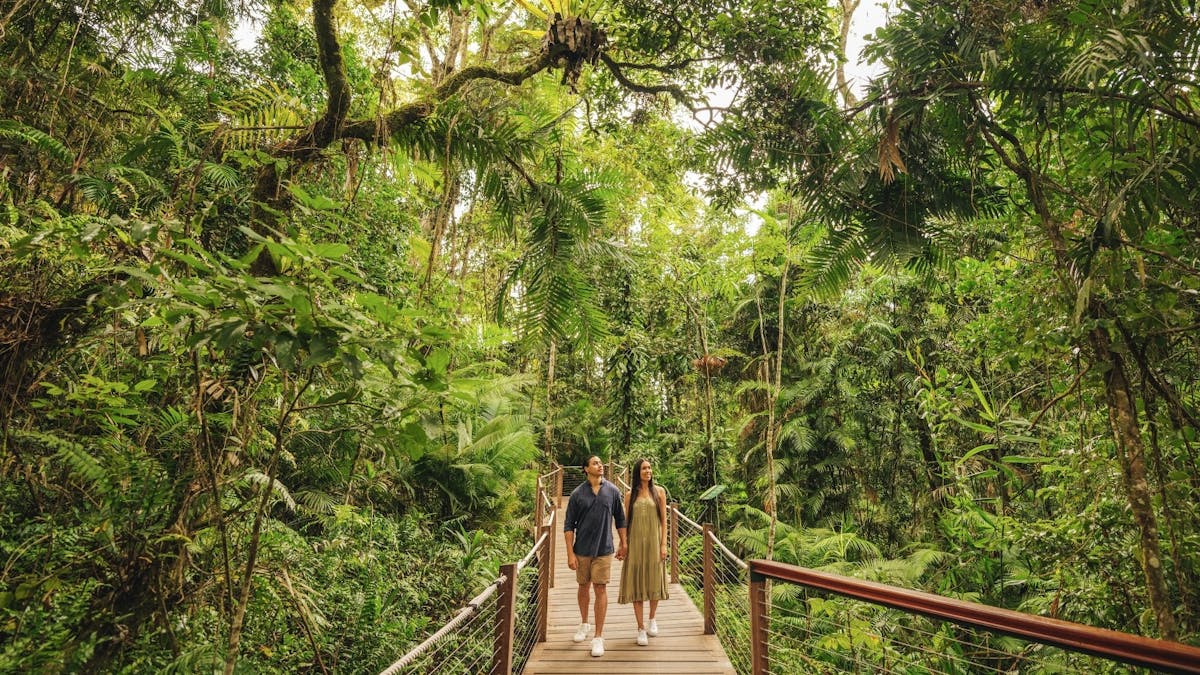 A couple walks across a timber bridge beneath the forest canopy, surrounded by wild natural beauty