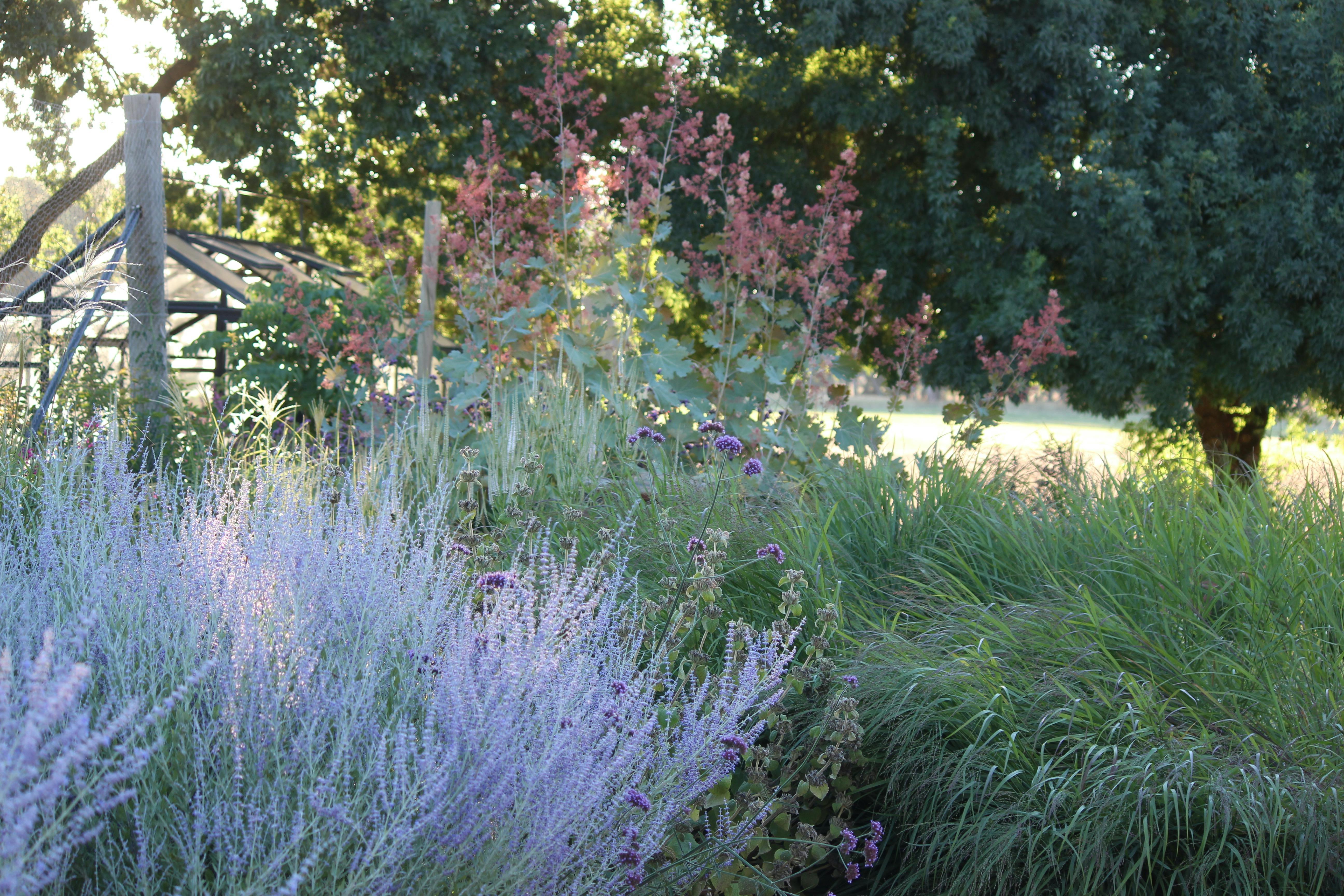 Ladysmith Park Perennials Garden and Nursery Summer Open Day