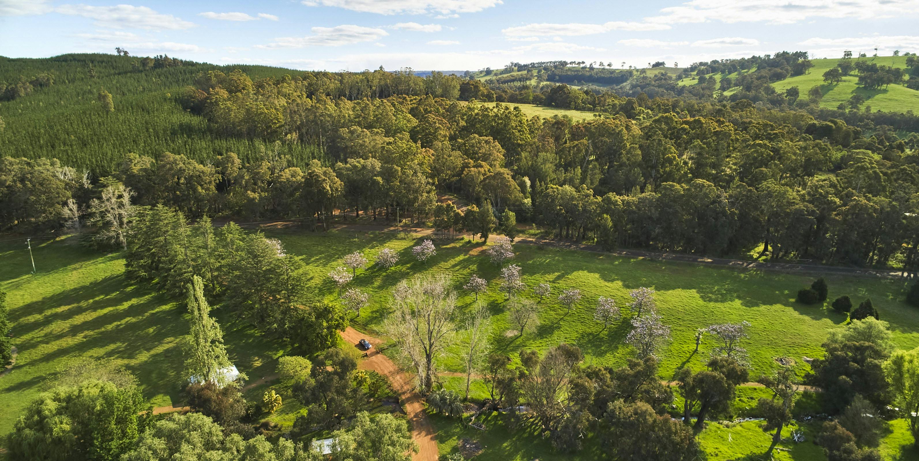 Golden Valley Tree Park drone image
