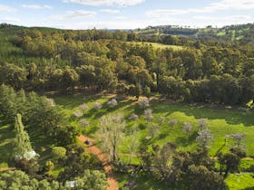Golden Valley Tree Park drone image