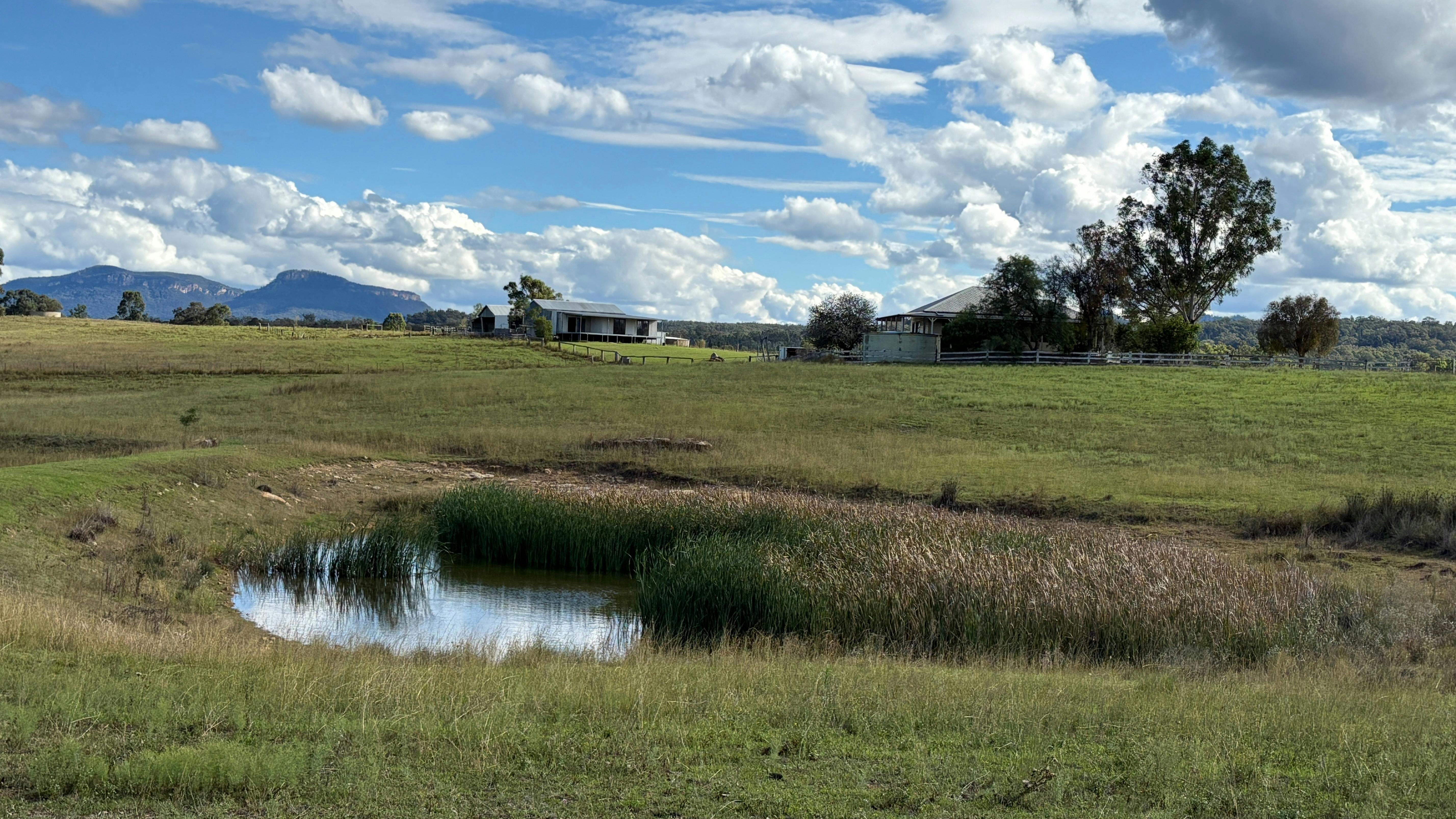 Dam and long green grass in a paddock near a farm house in the Capertee Valley