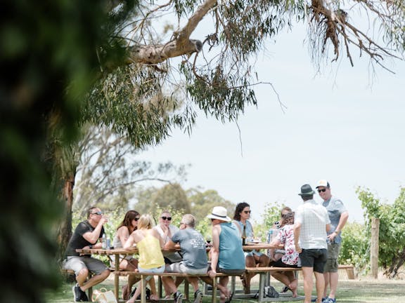 St Leonards Vineyard Café