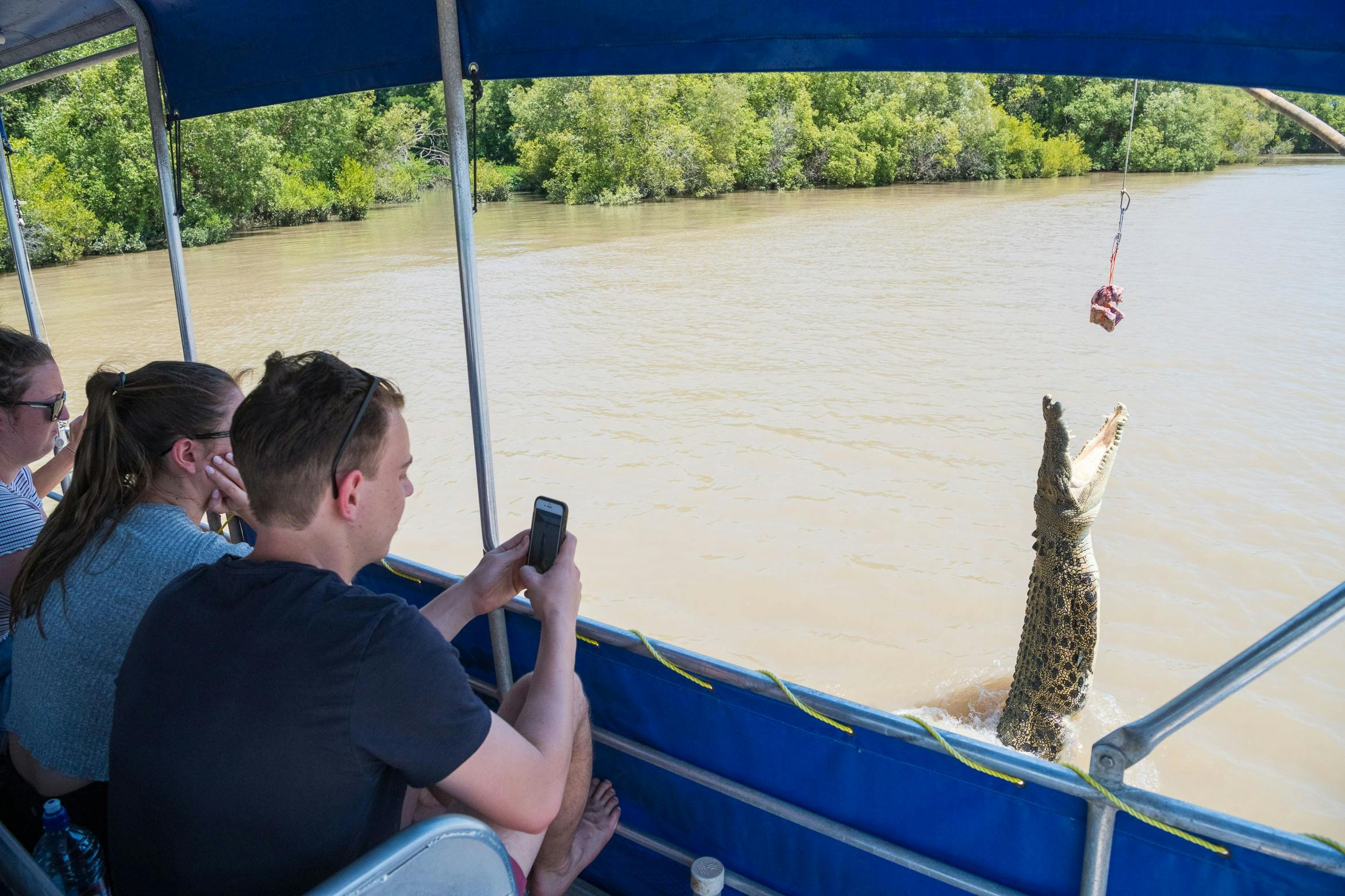 Jumping Crocodile Cruise with Sacred Owl Tours