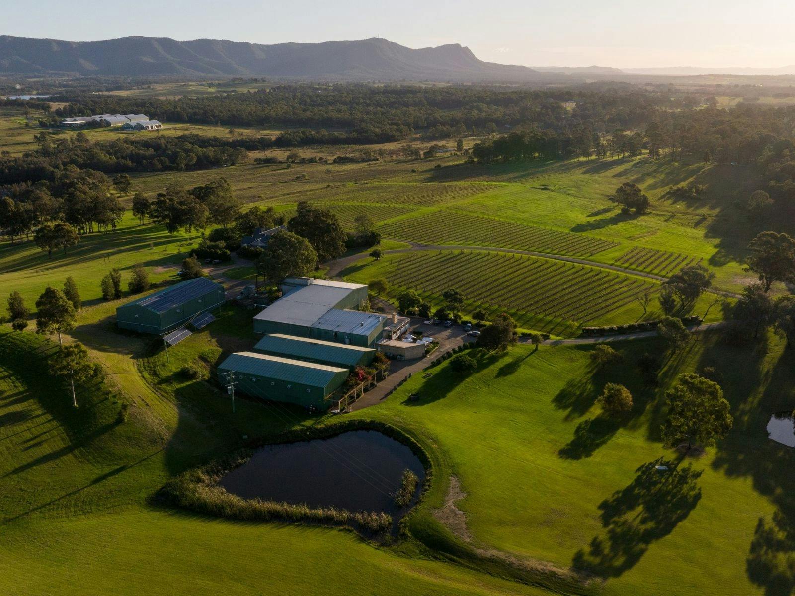 カレーエステーツワイナリーへのヘリコプター遊覧飛行
