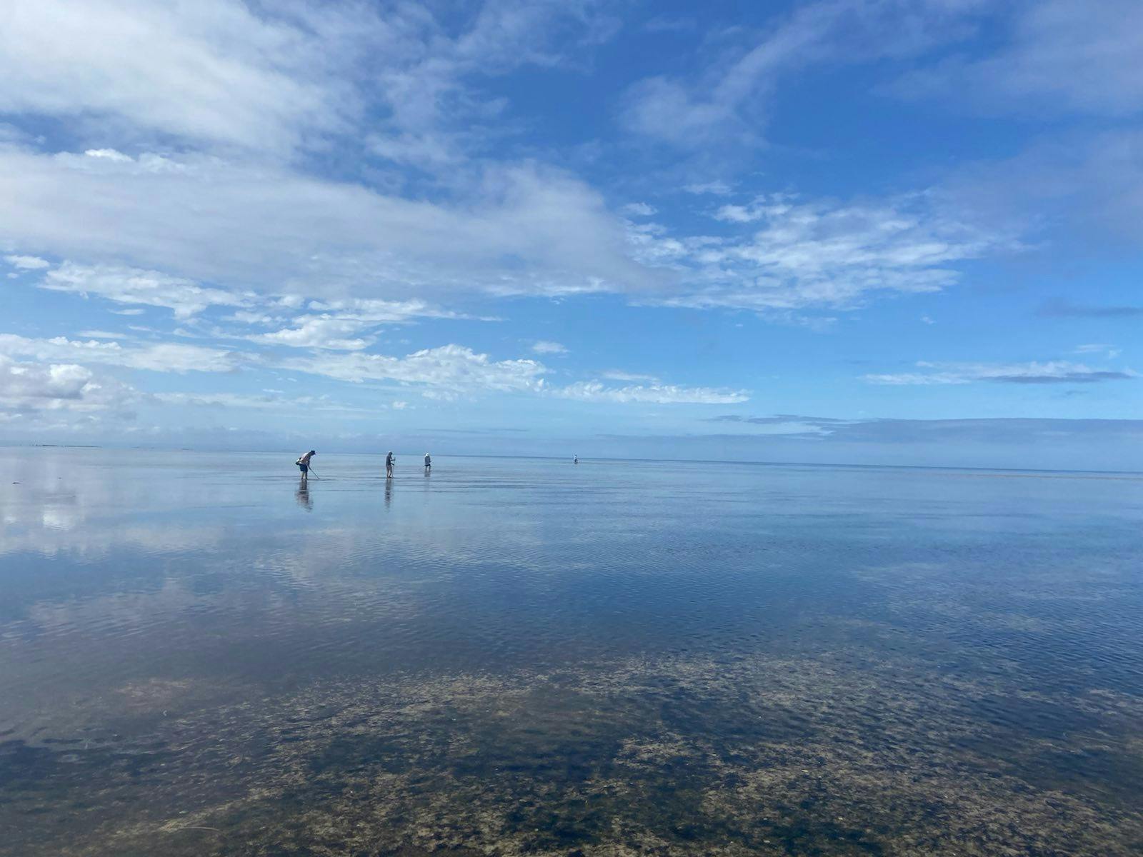 Discover the picturesque coastline of Yorke Peninsula
