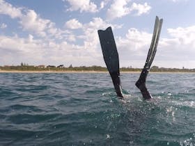Learn to Freedive, Spearfishing in Victoria, Apnea Diving