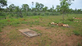 Grave site.