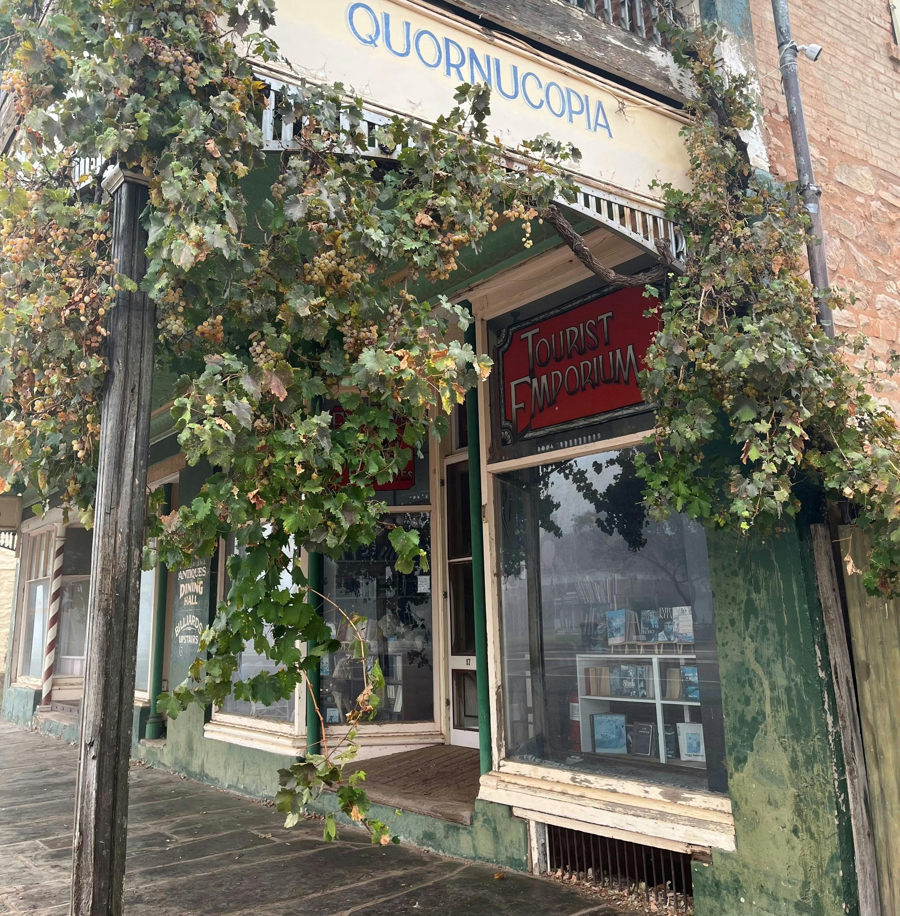 A shopfront with slate footpath and grapevines growing on the balcony.
