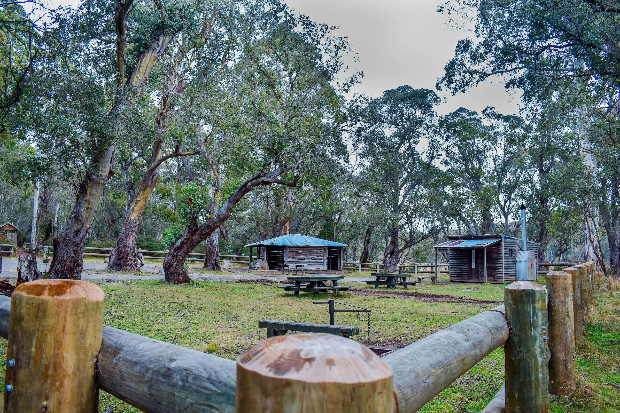 Open grass area with a hut