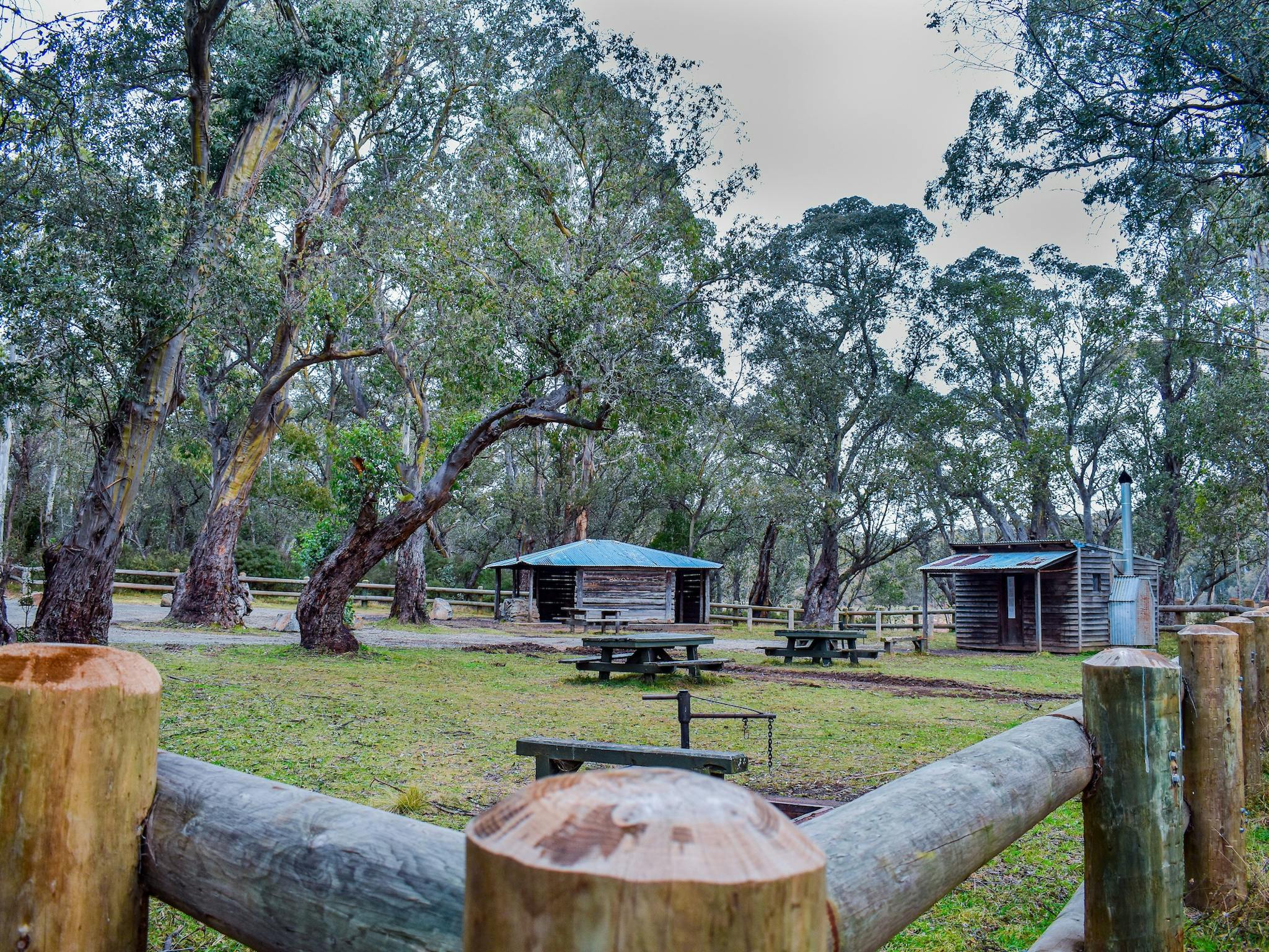 Open grass area with a hut