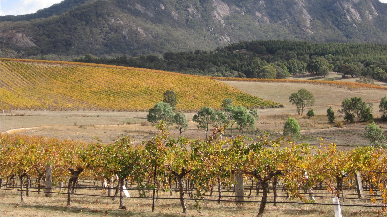 Mount Langi Ghiran winery, GRAMPIANS WINE REGION - GRAMPIANS