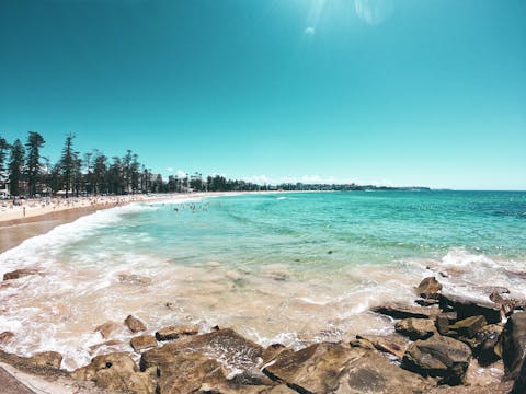 North Shore Road Trip