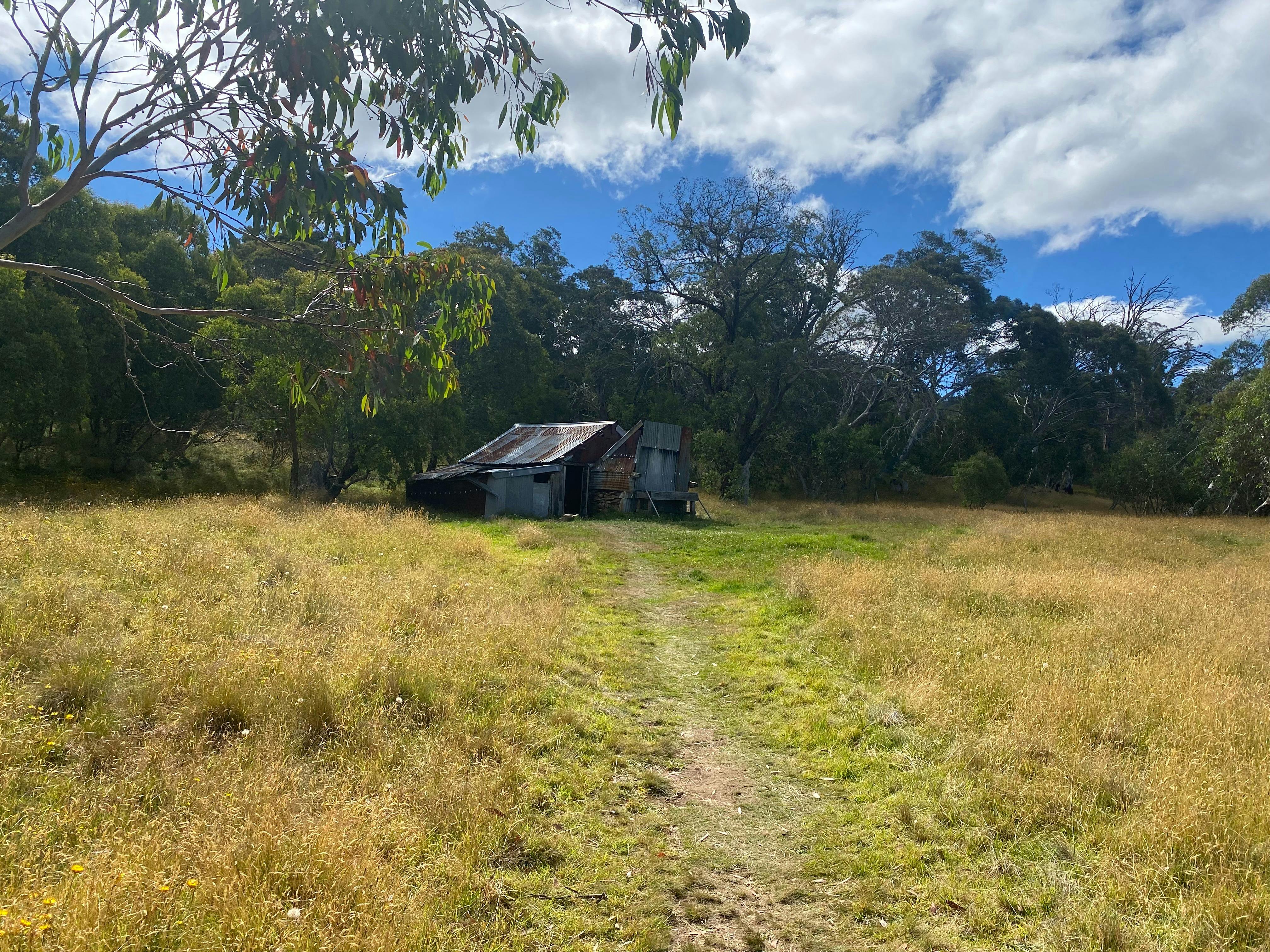 Dingo Trax in Tamboritha, VIC