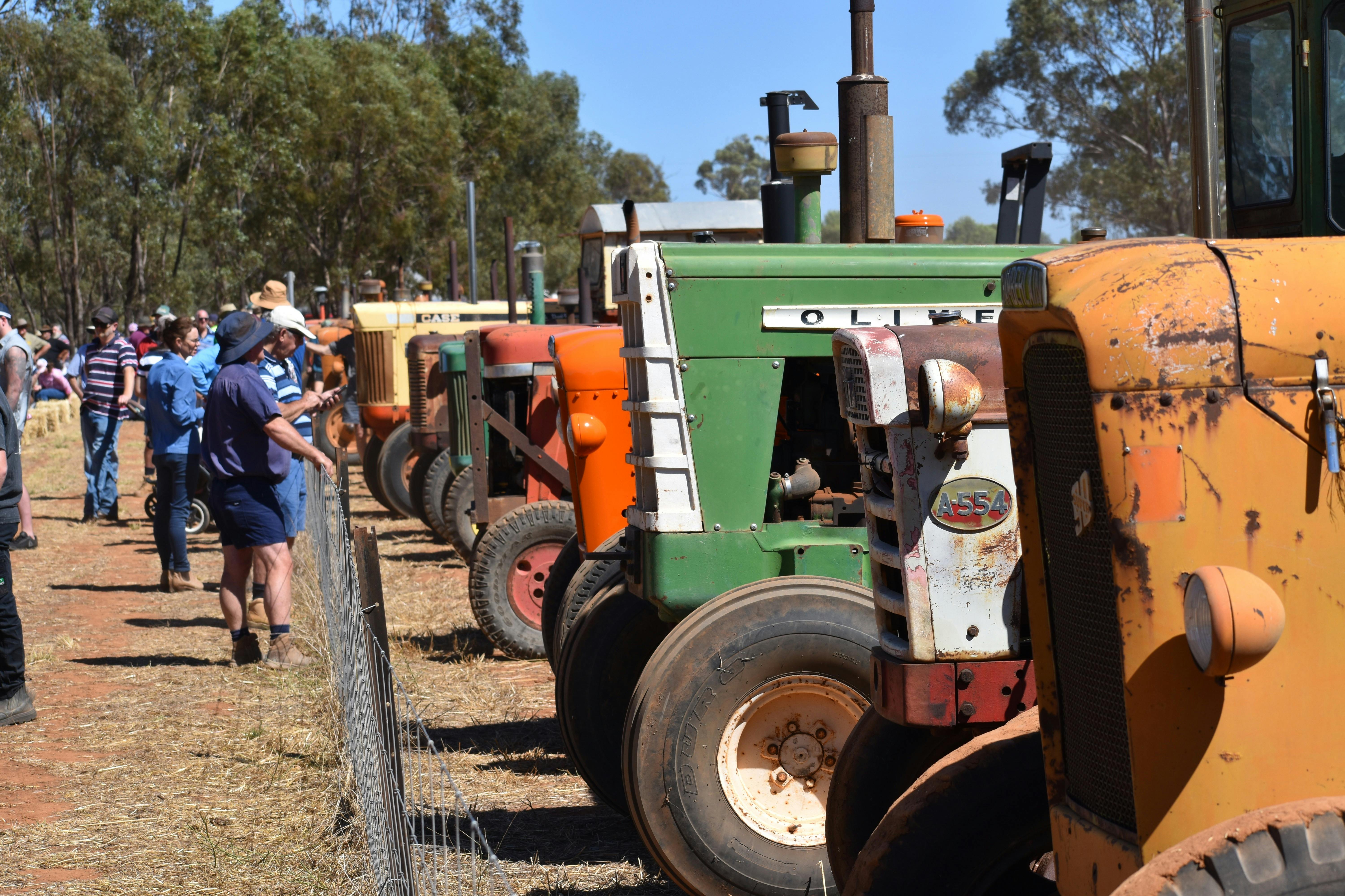 Tallimba Vintage Harvest Day