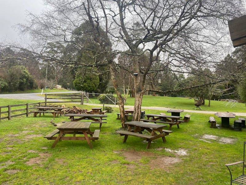 Beer Garden