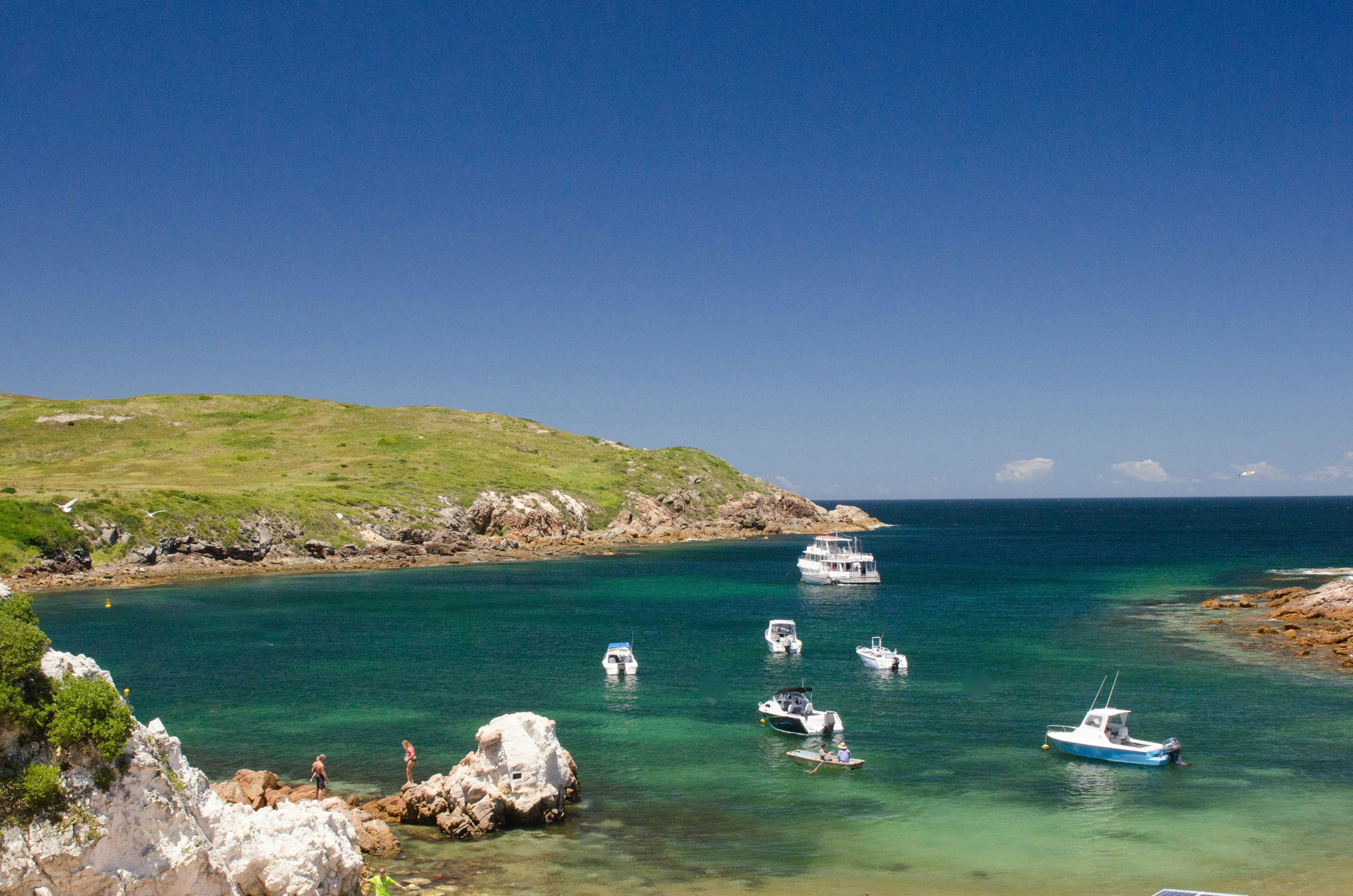 6.5 hour Broughton Island Cruise