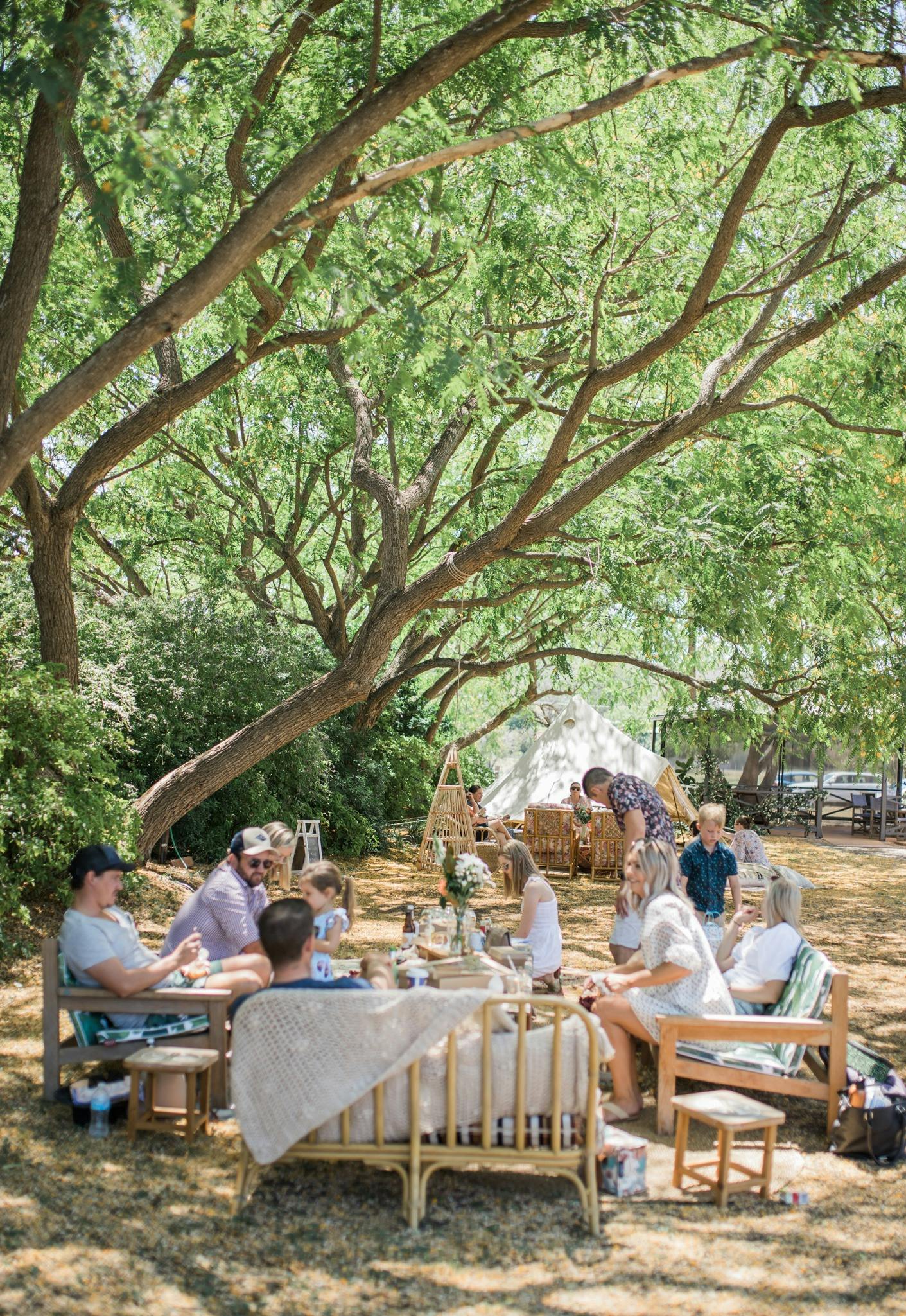 Picnic under the Shady Trees