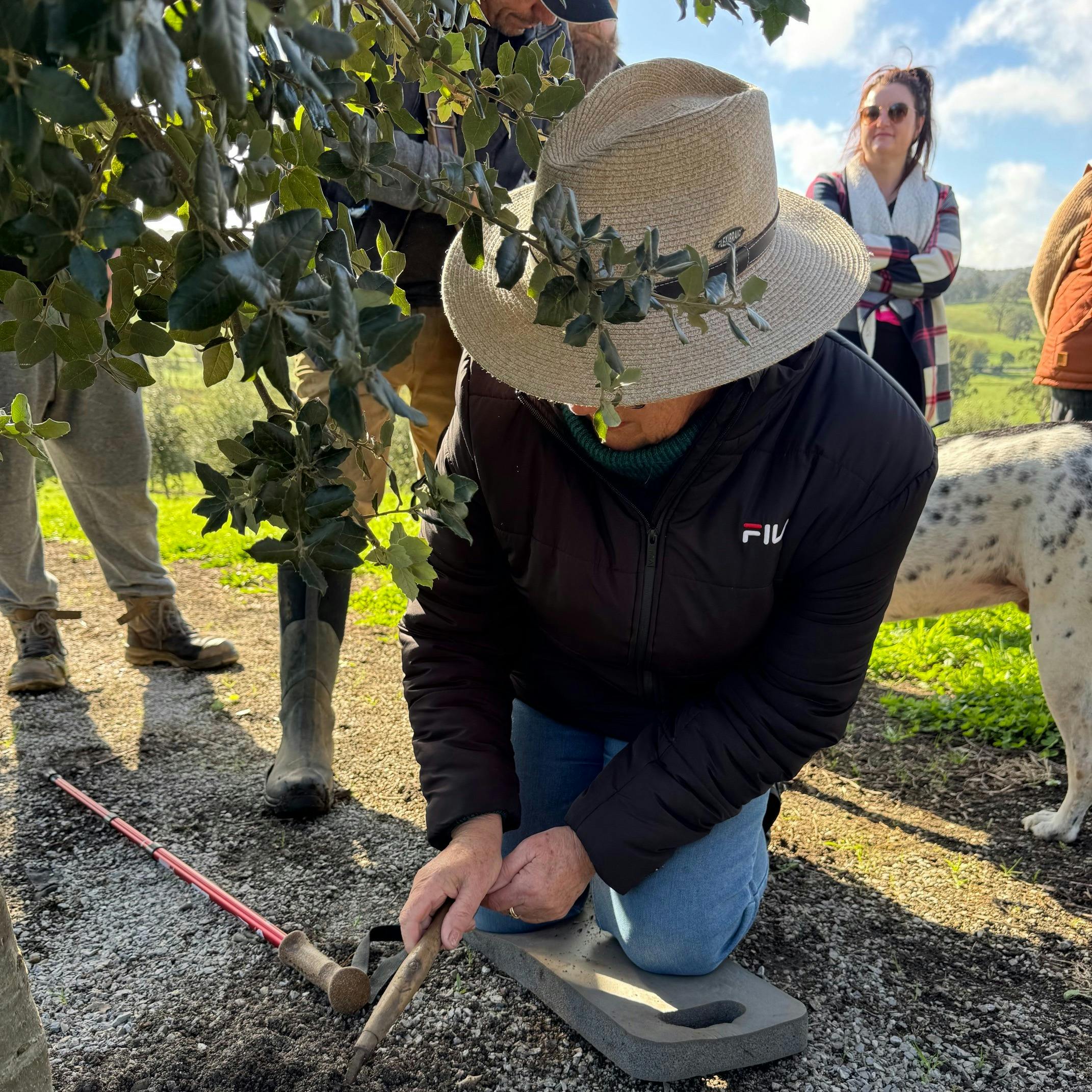 lady digging truffle