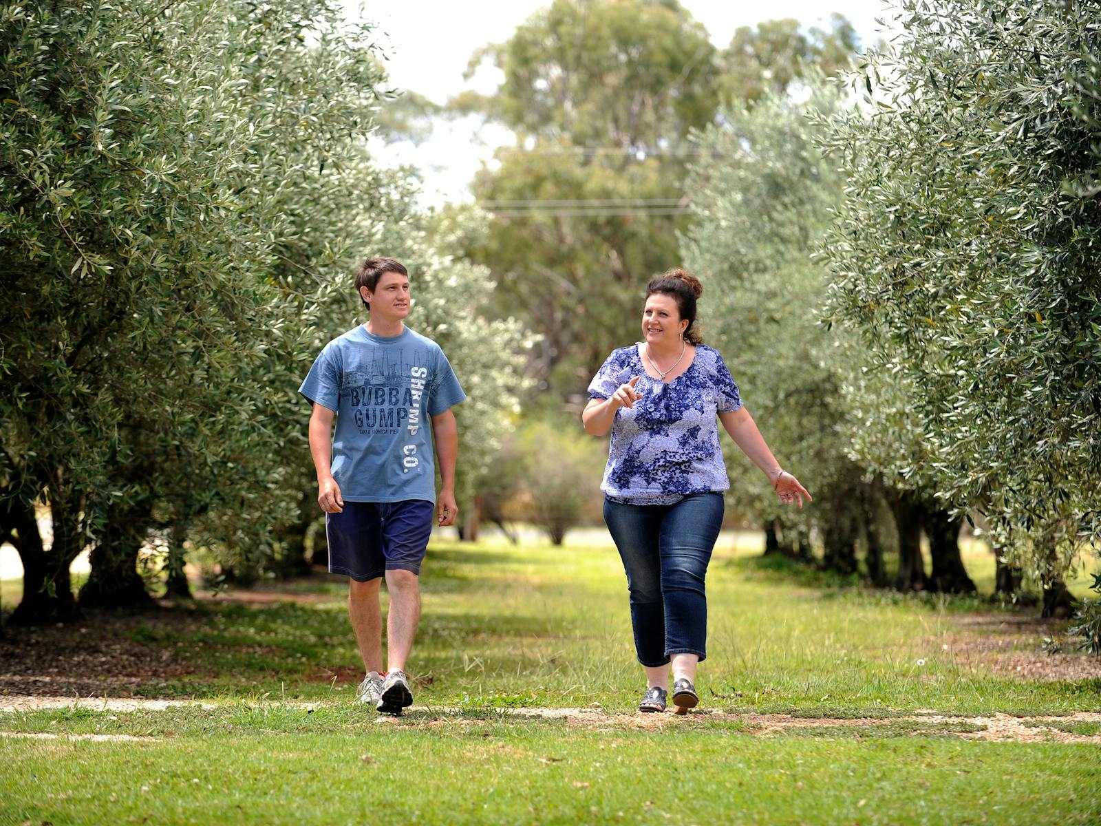 Male and female walking between two rows of Olive Trees
