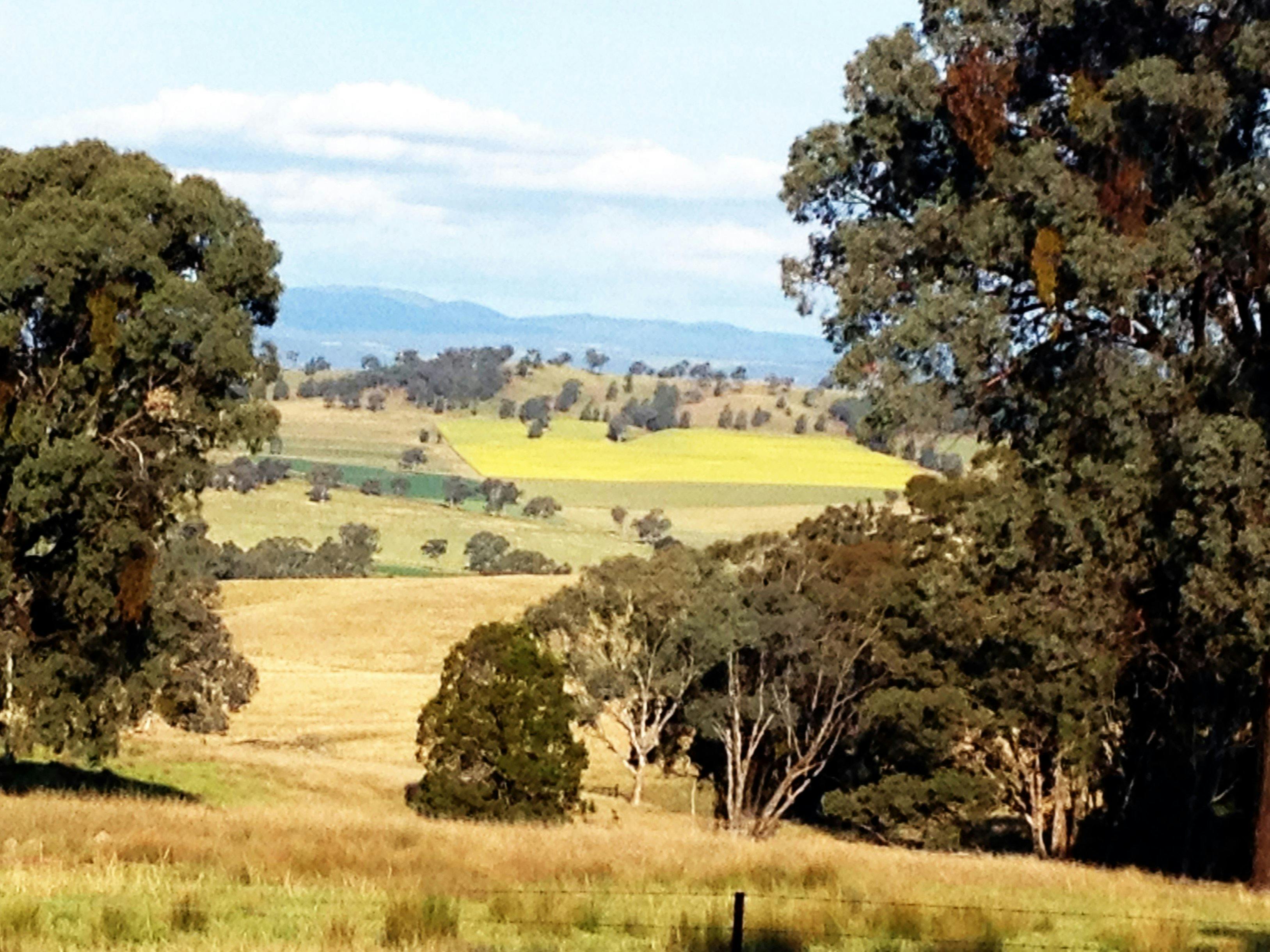 로키산맥에서 보이는 풍경