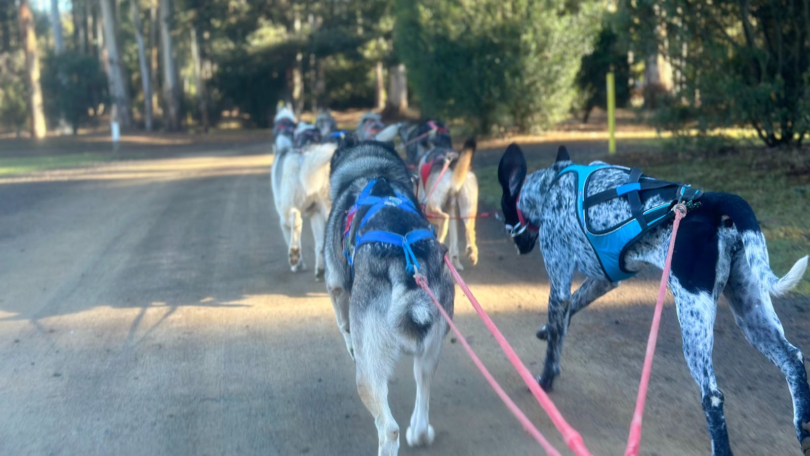 Running through the grounds of the Rivers Edge Camping Ground