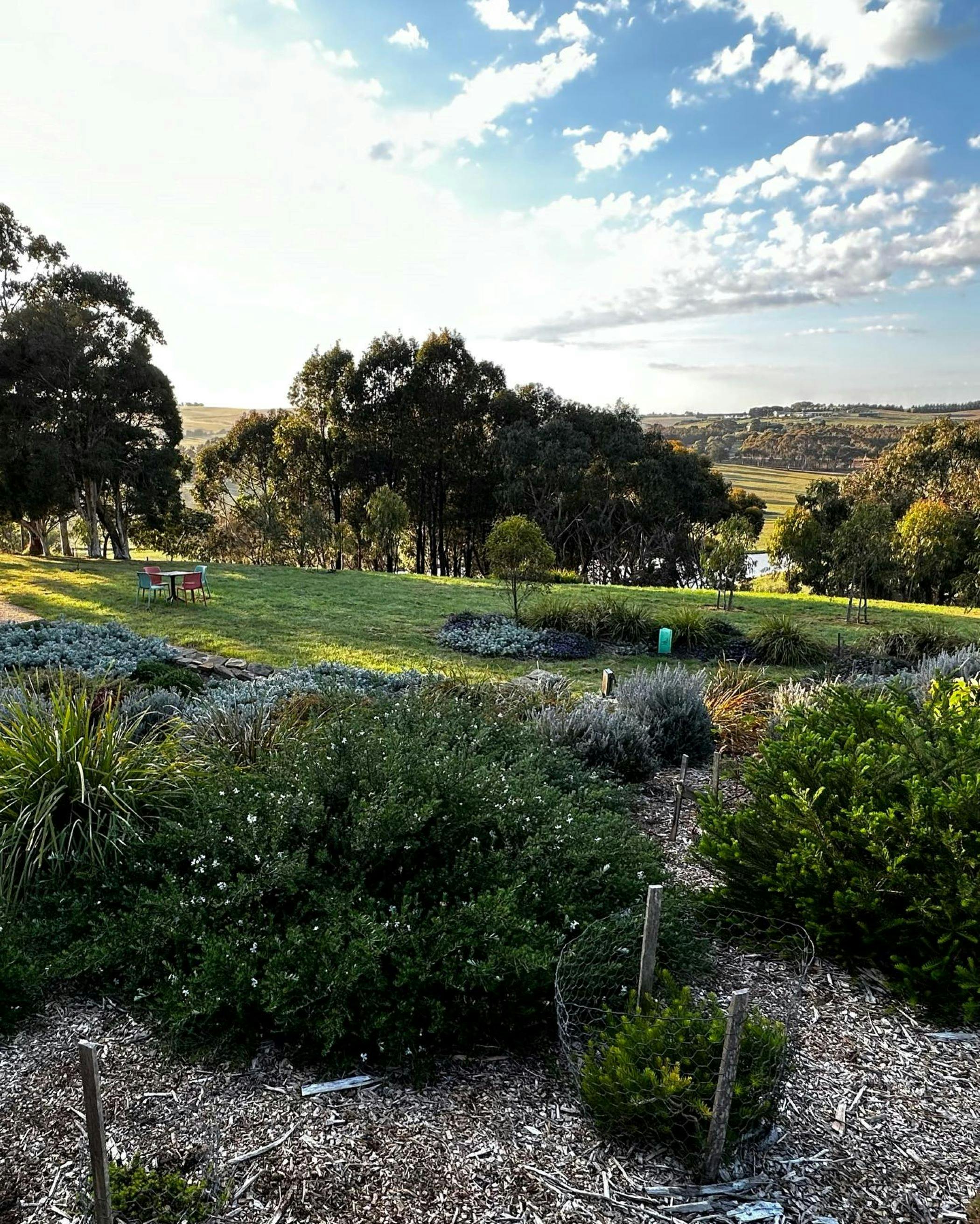 Barwon Ridge Wines