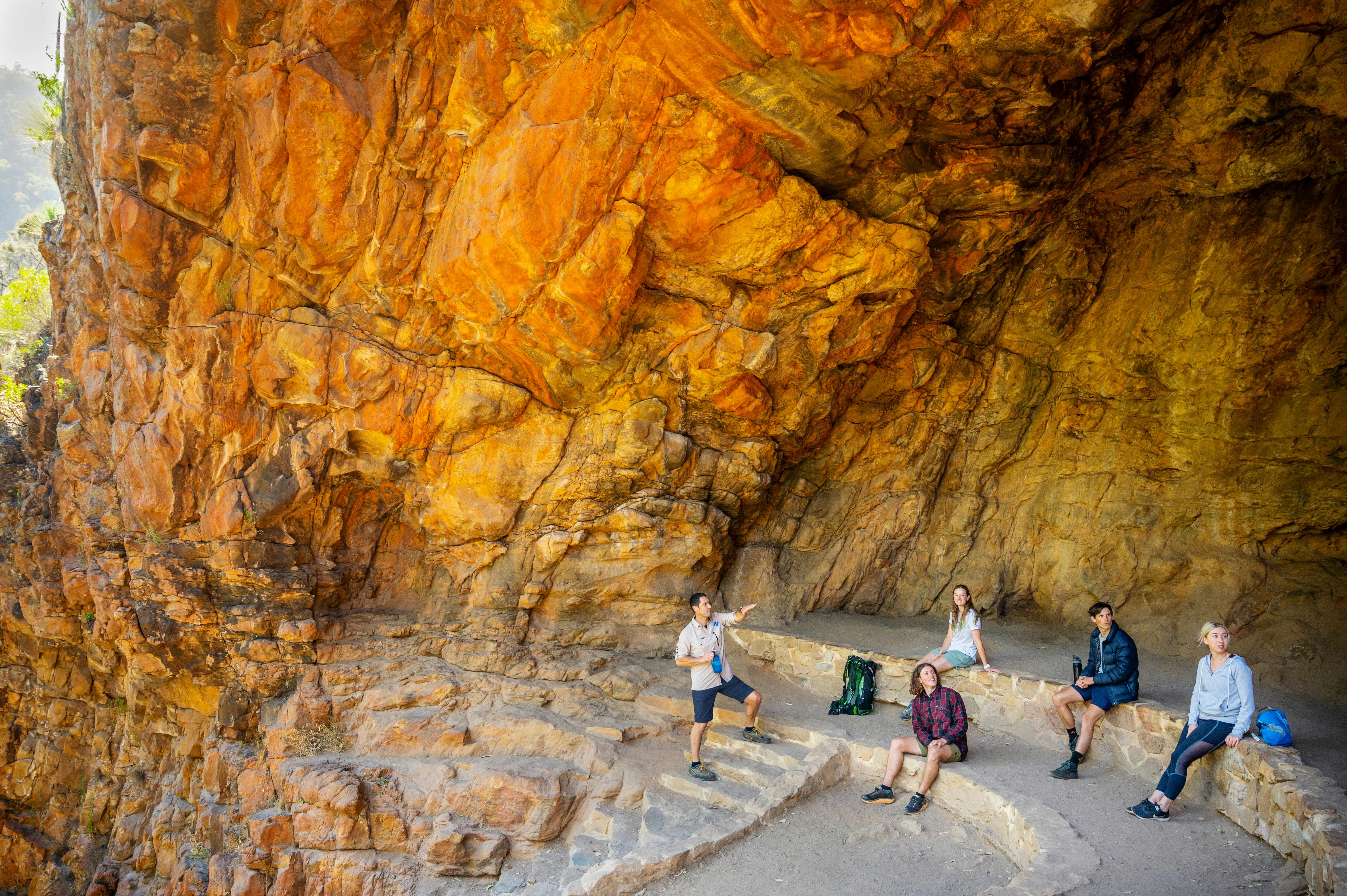 Waterfalls, Wildlife and Penfolds