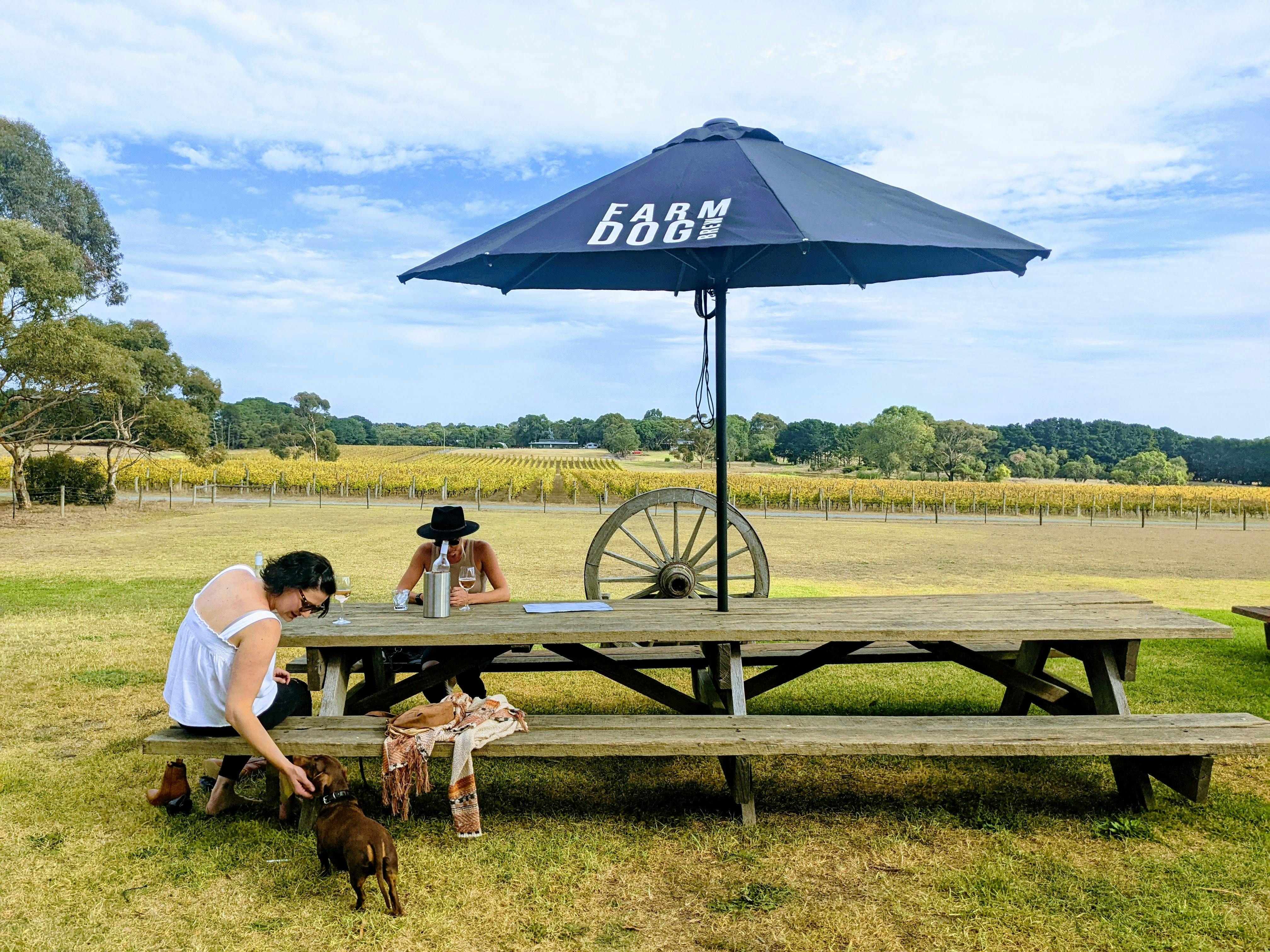 Outdoor table with umbrella