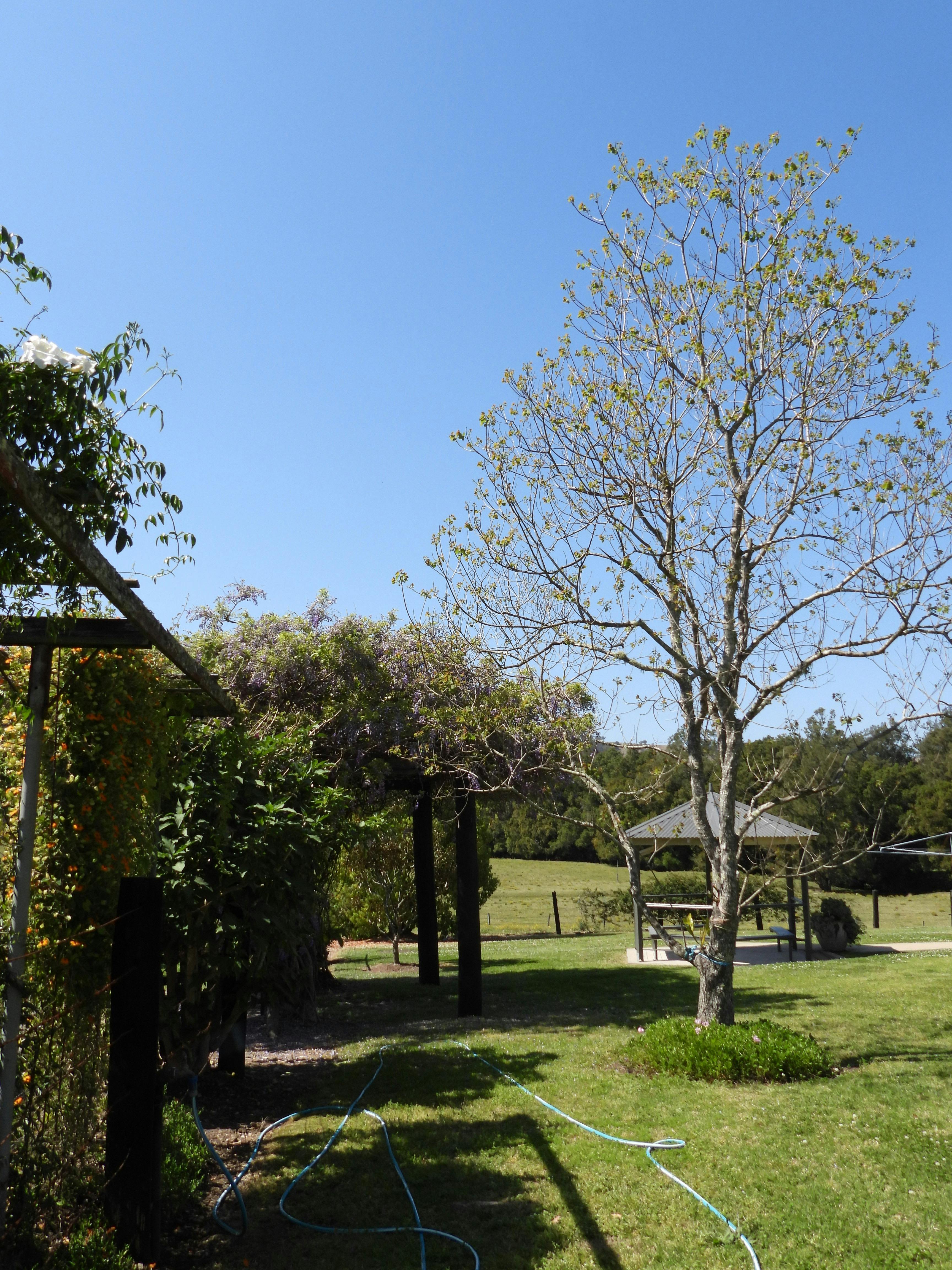 Views of the Garden