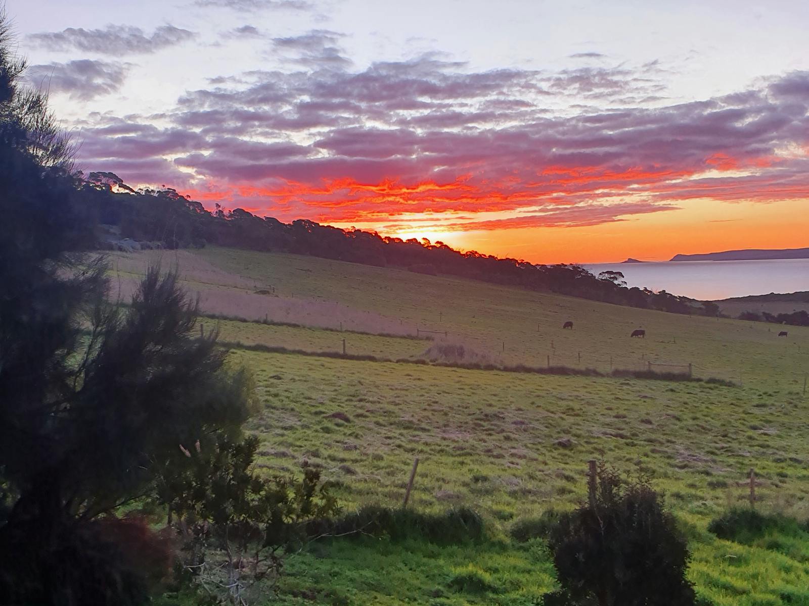 Sunset view across Marshall Bay