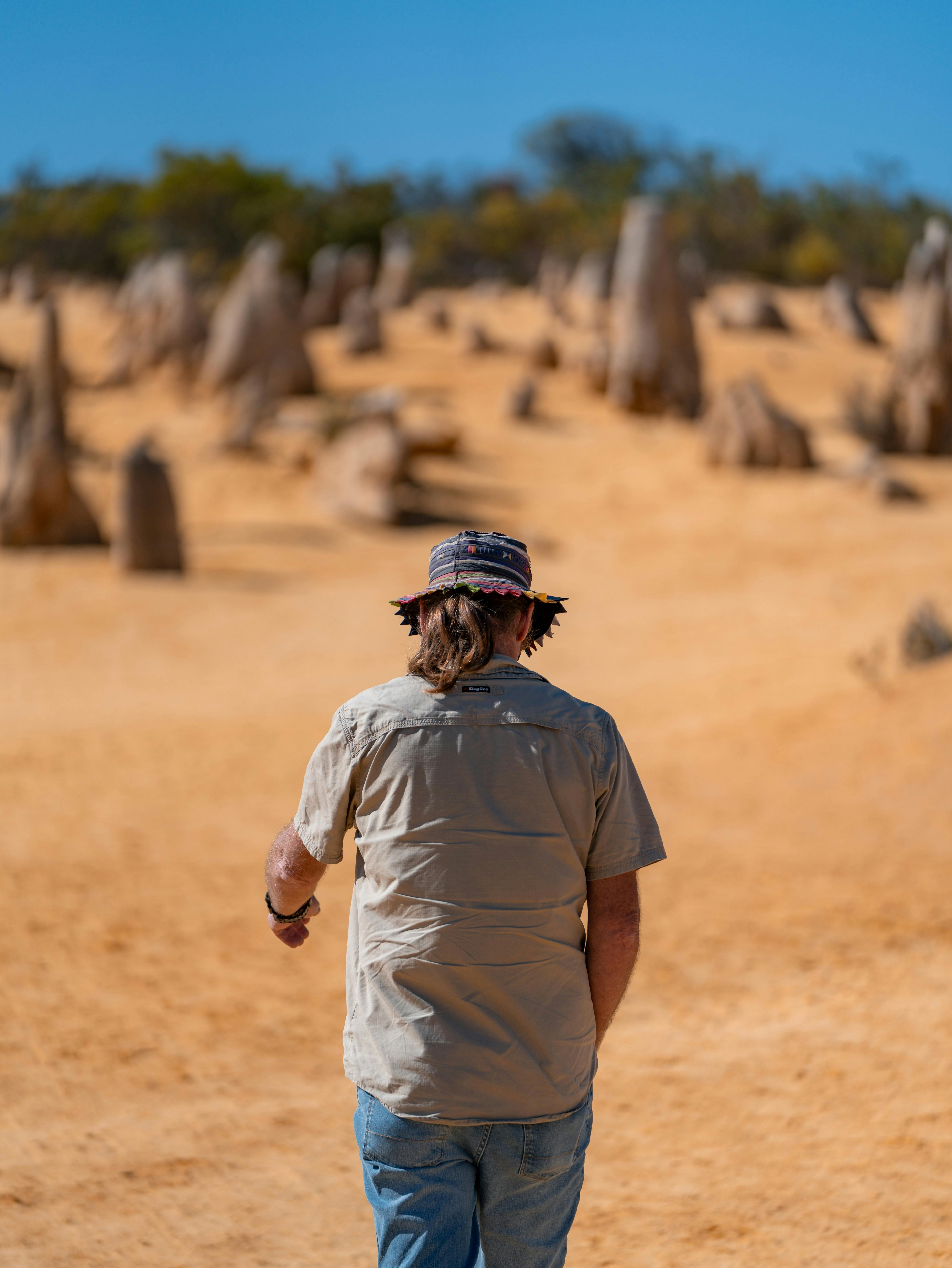 Pinnacles West Coast Australia