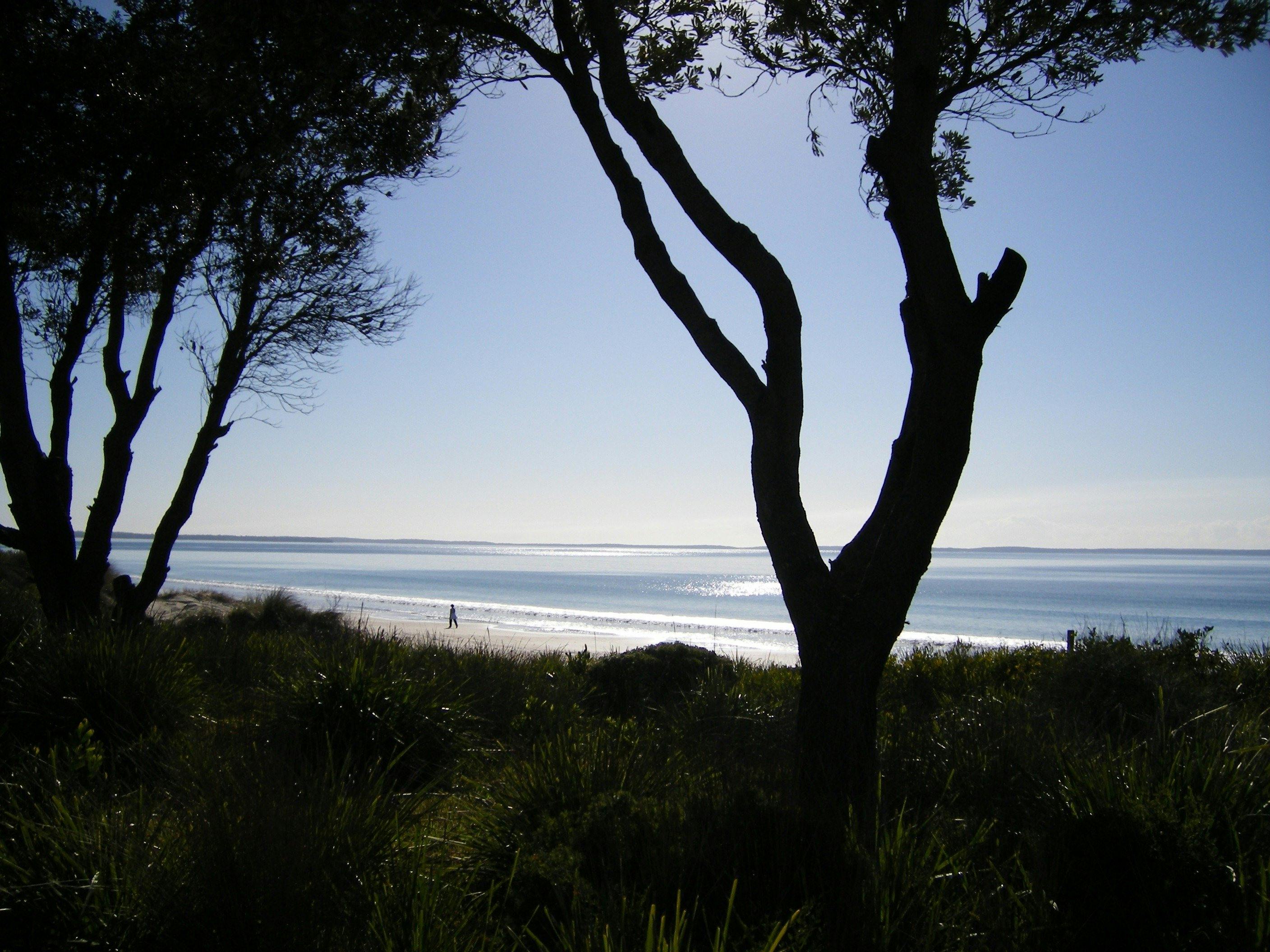 ビーチまで歩く