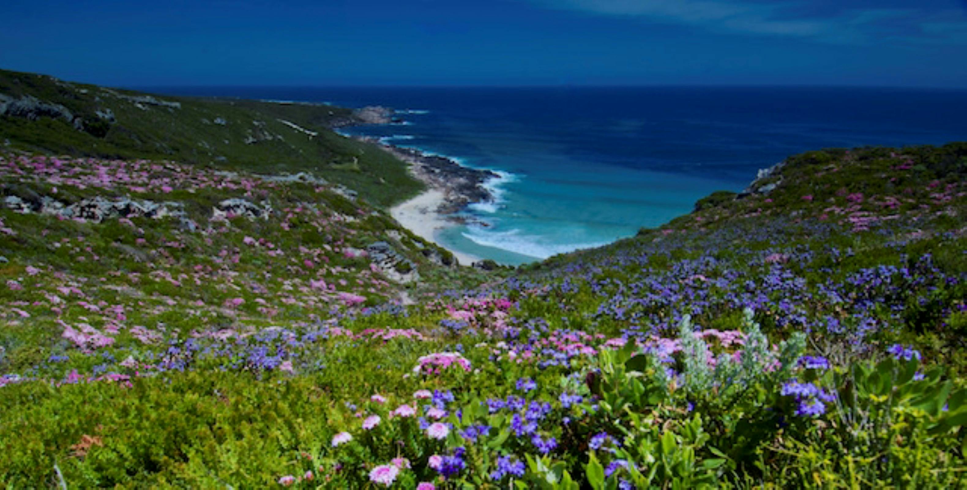Cape to Cape track Margaret RIver