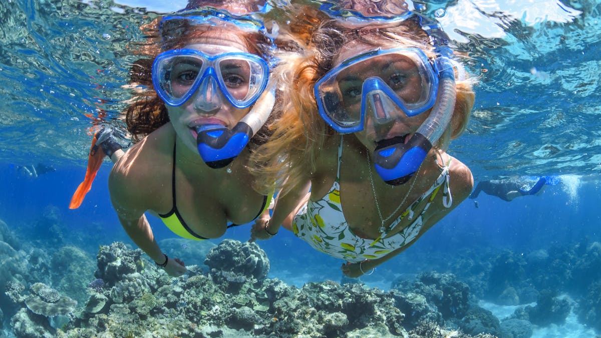 Snorkelling Down Under Cruise and Dive