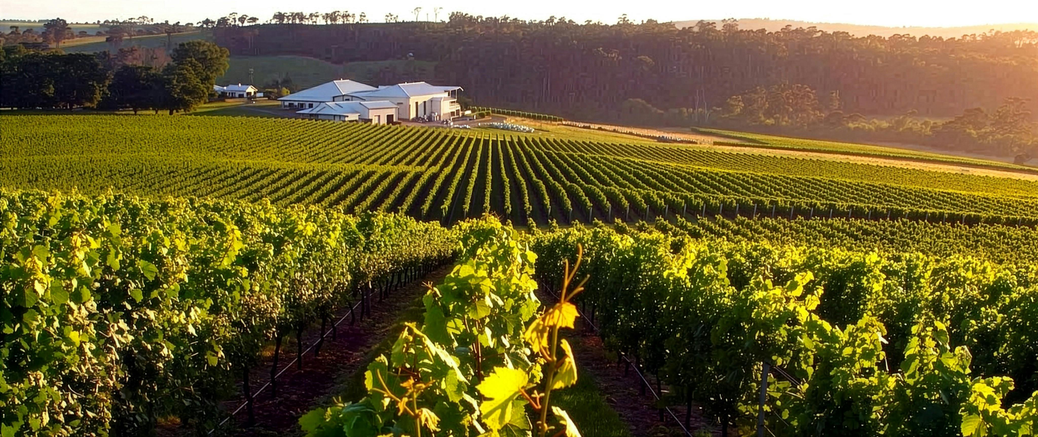 House of Arras Tasmania