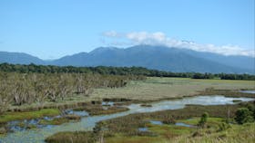 Swamp with mountainous backdrop at Enbenangee Swamp.