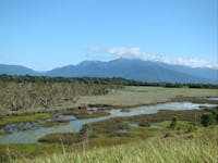 Swamp with mountainous backdrop at Enbenangee Swamp.