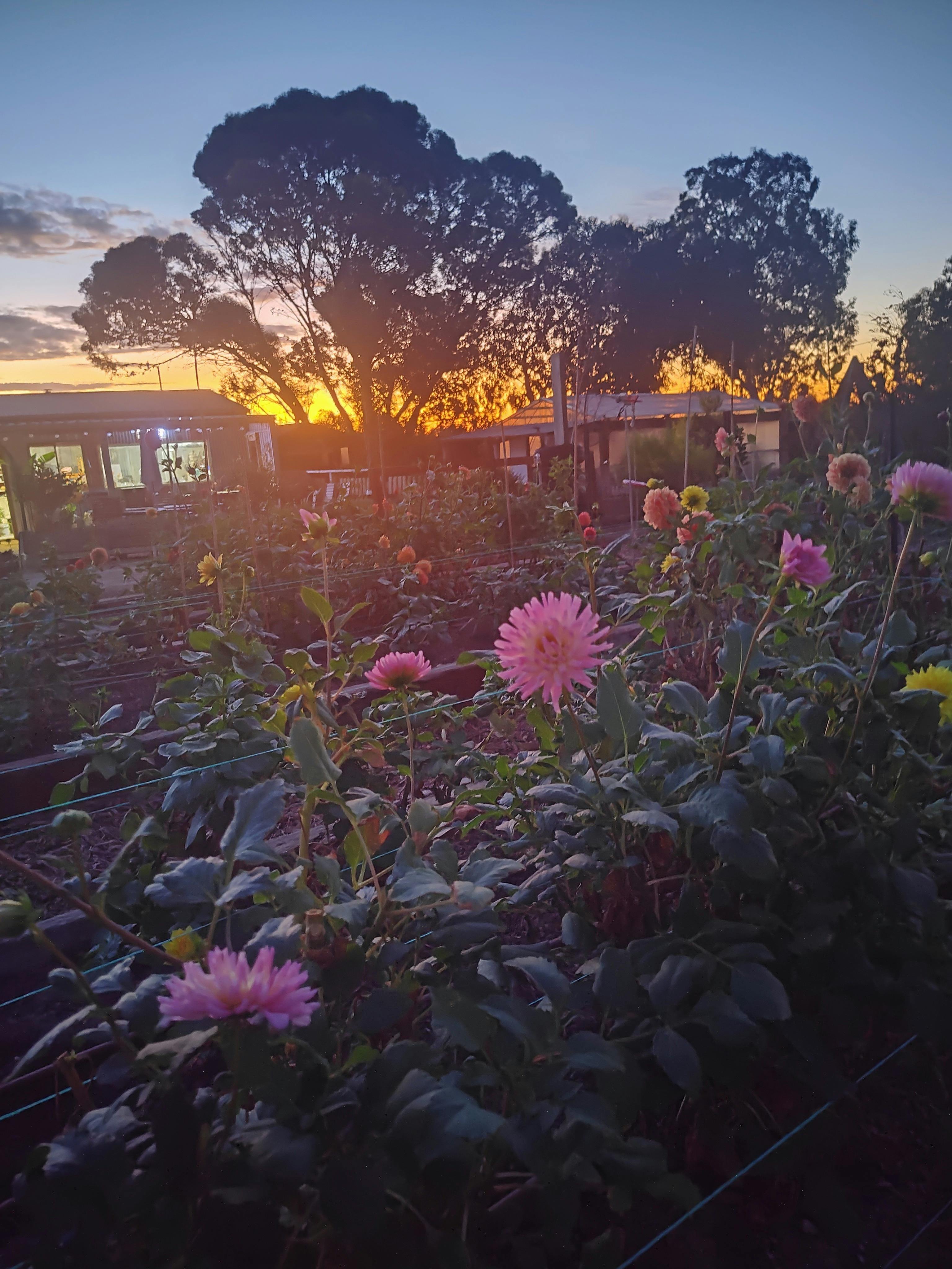 Sunset tours and events