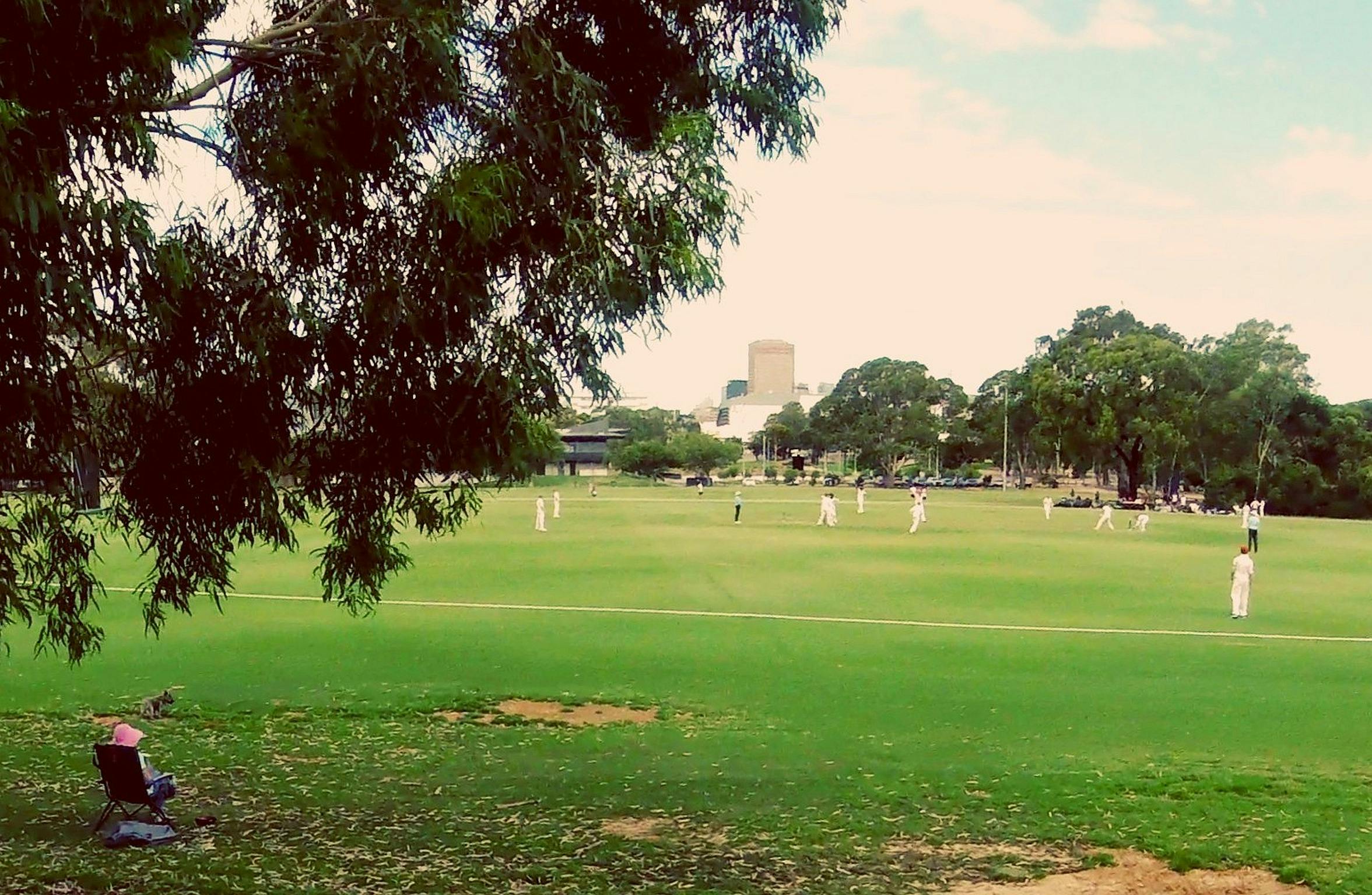 Gladys Elphick Park / Narnungga (Park 25)