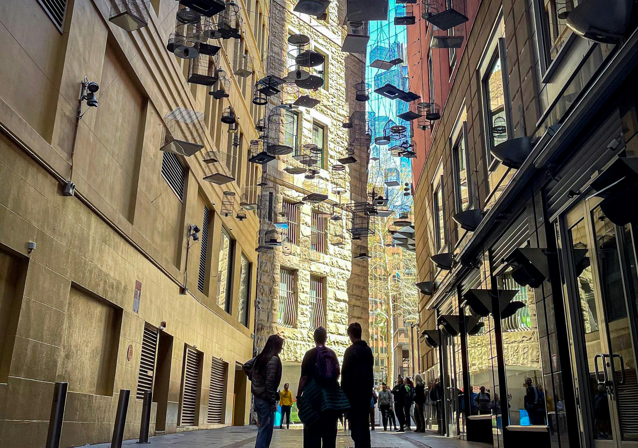 시드니 청소부 사냥