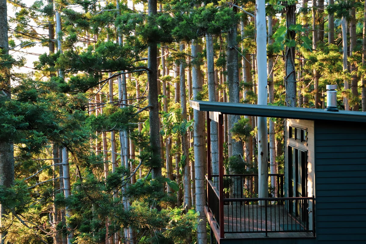 Chalet 1