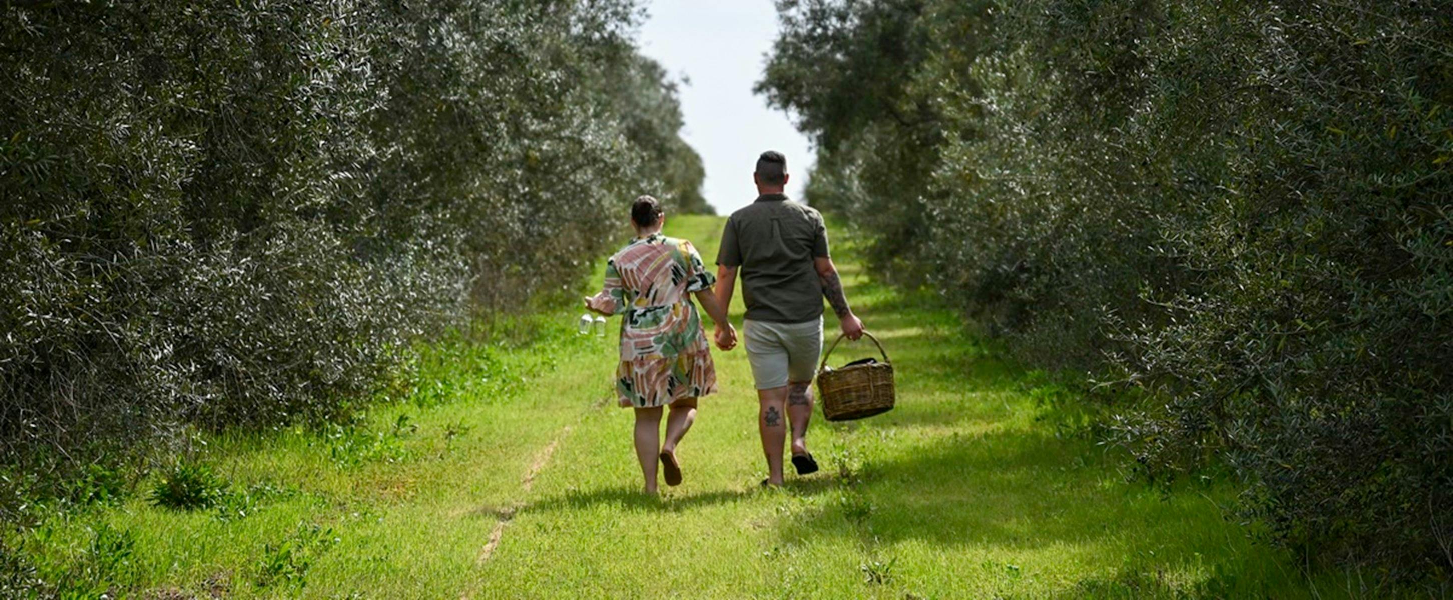 Clare valley picnic
