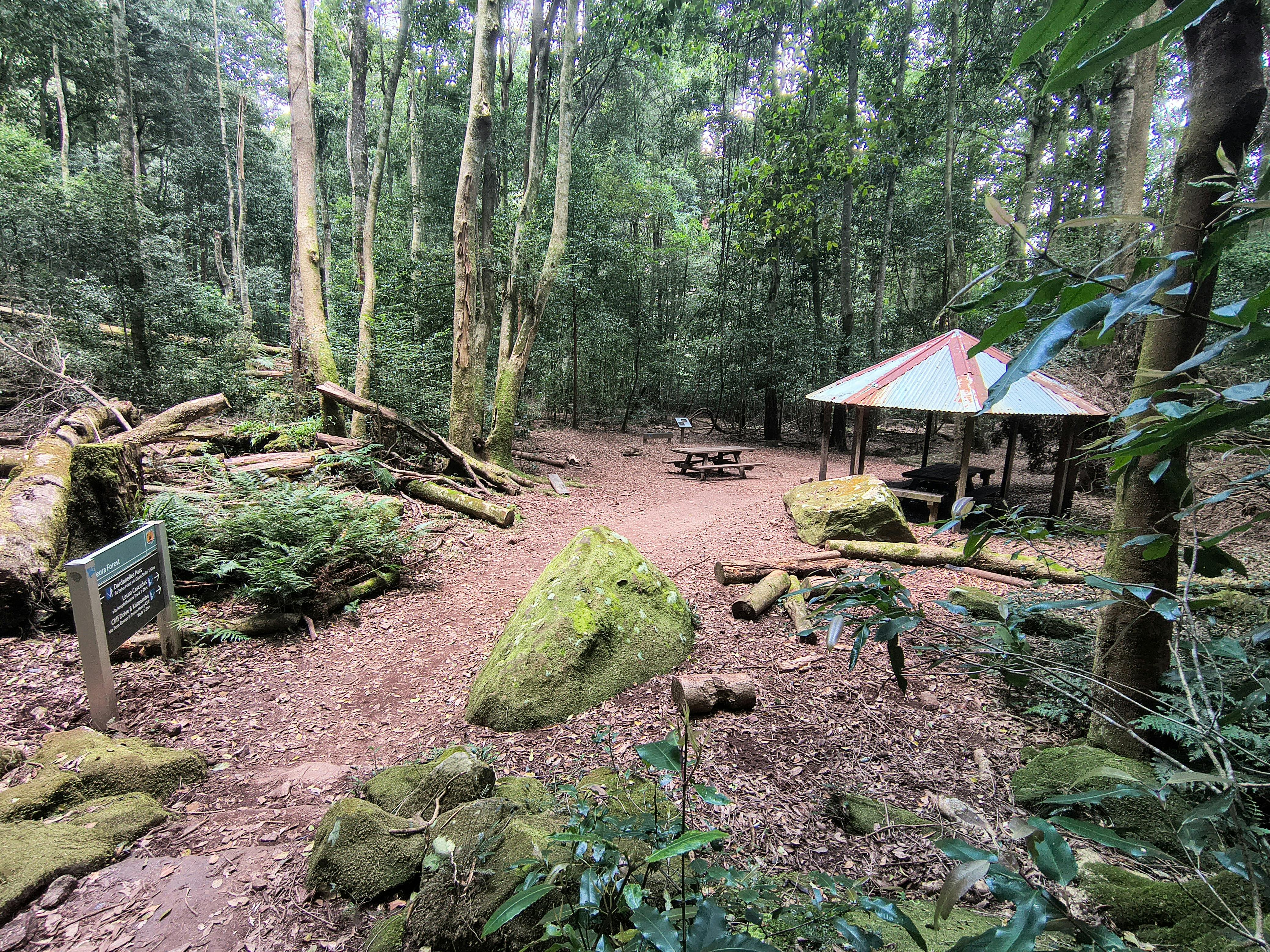 picnic area of Leura Forest in the Blue Mountains west of Sydney